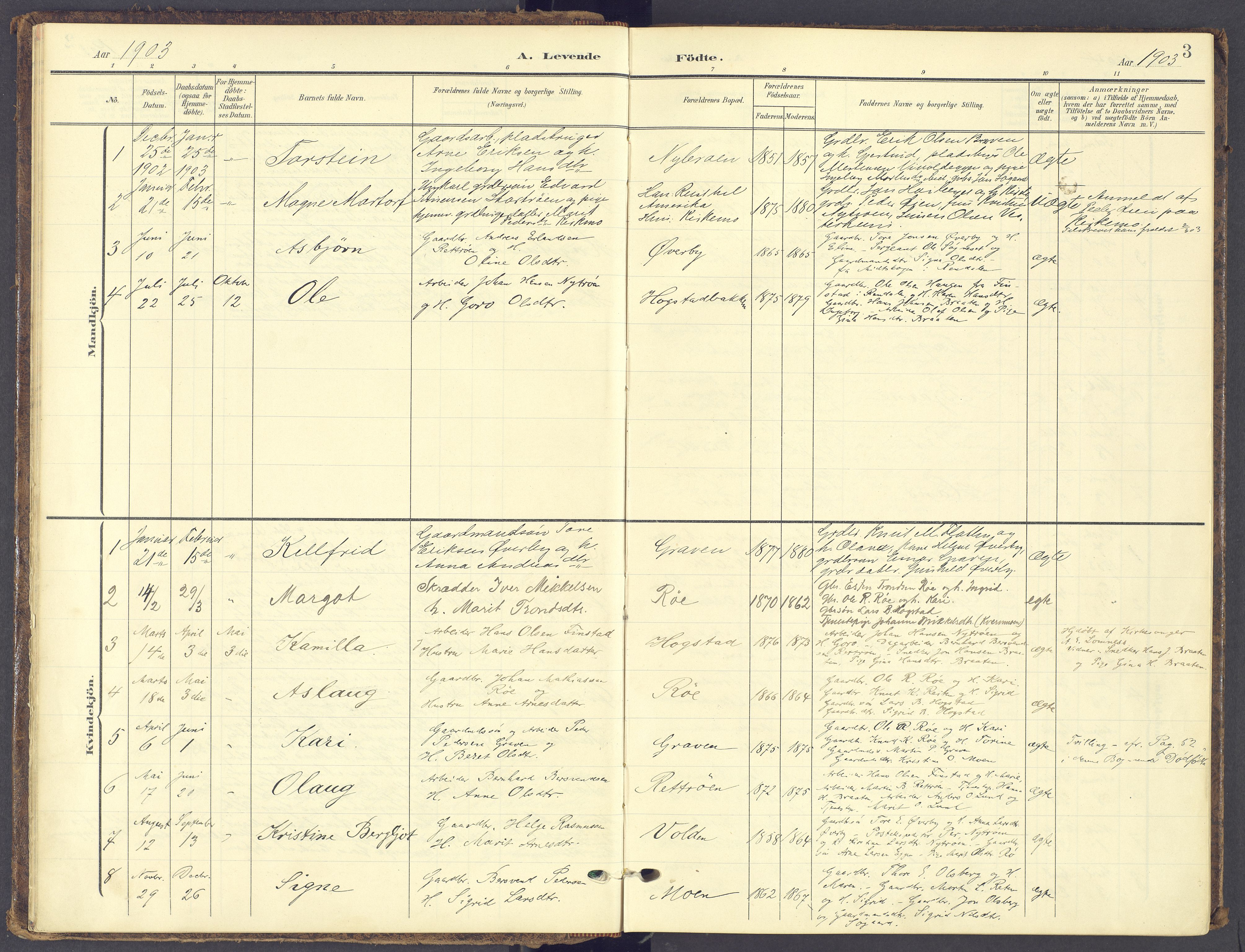 Tynset prestekontor, SAH/PREST-058/H/Ha/Haa/L0028: Parish register (official) no. 28, 1902-1929, p. 3