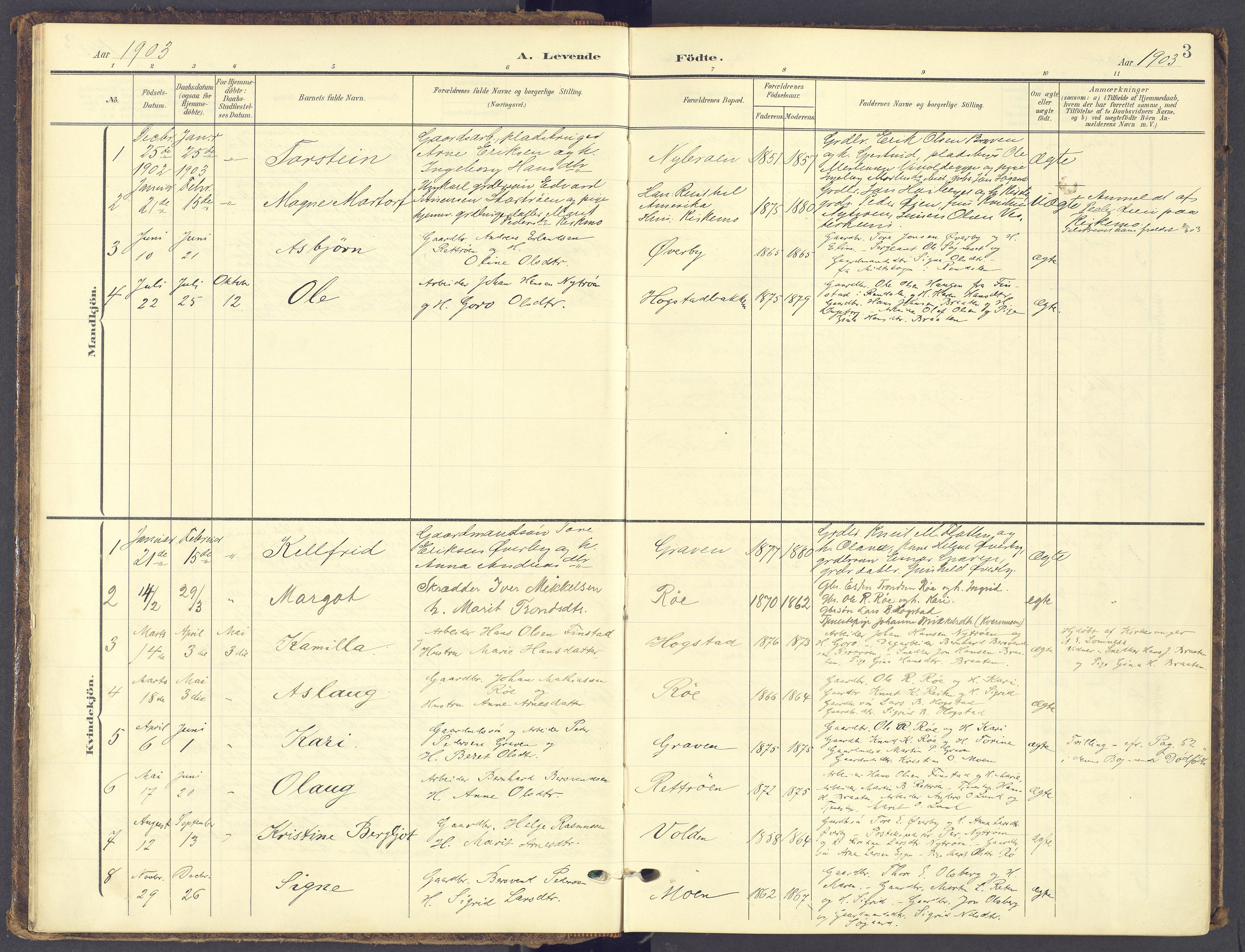 Tynset prestekontor, AV/SAH-PREST-058/H/Ha/Haa/L0028: Parish register (official) no. 28, 1902-1929, p. 3