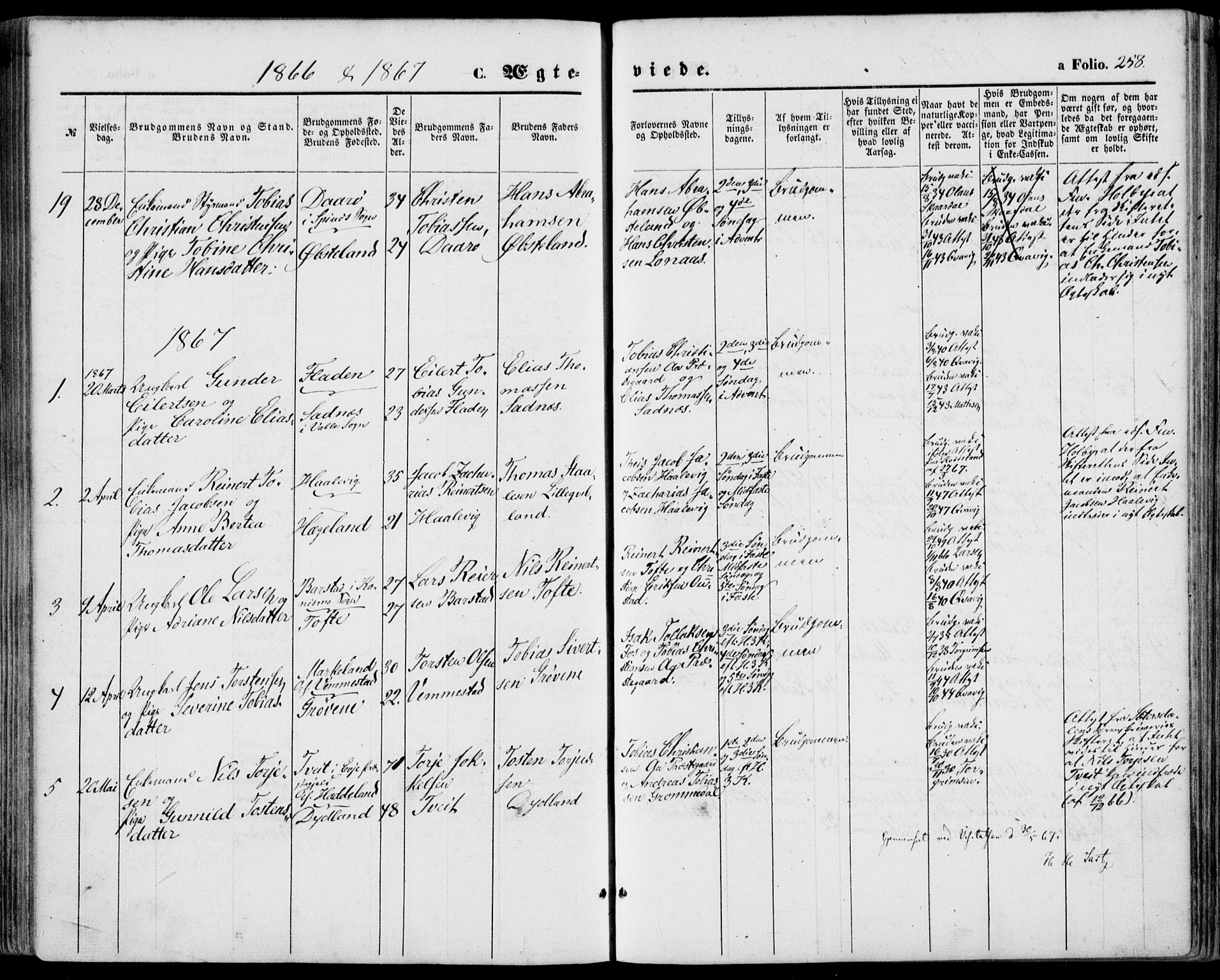 Lyngdal sokneprestkontor, SAK/1111-0029/F/Fa/Fac/L0010: Parish register (official) no. A 10, 1865-1878, p. 258