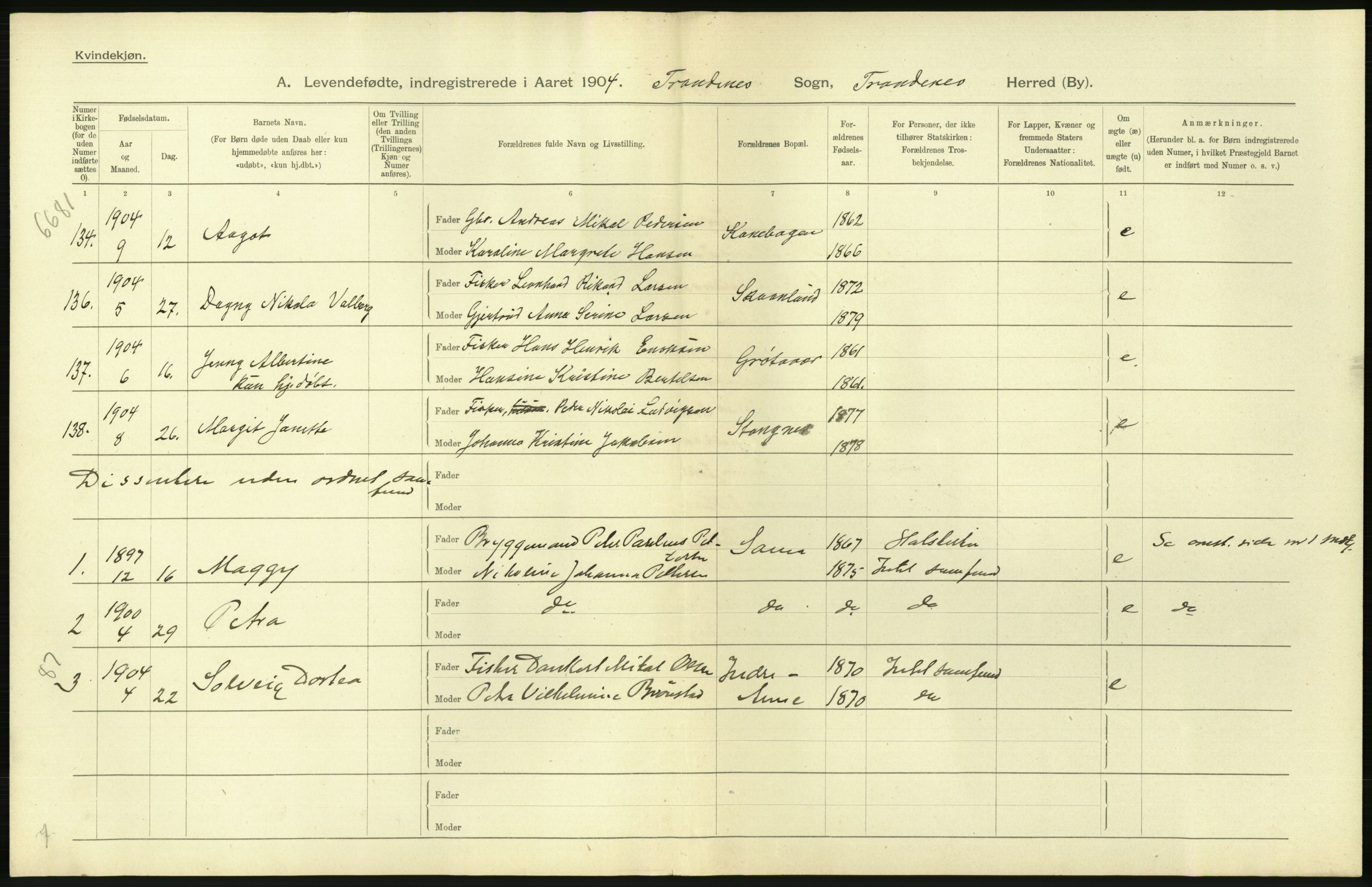 Statistisk sentralbyrå, Sosiodemografiske emner, Befolkning, AV/RA-S-2228/D/Df/Dfa/Dfab/L0022: Tromsø amt: Fødte, gifte, døde, 1904, p. 258