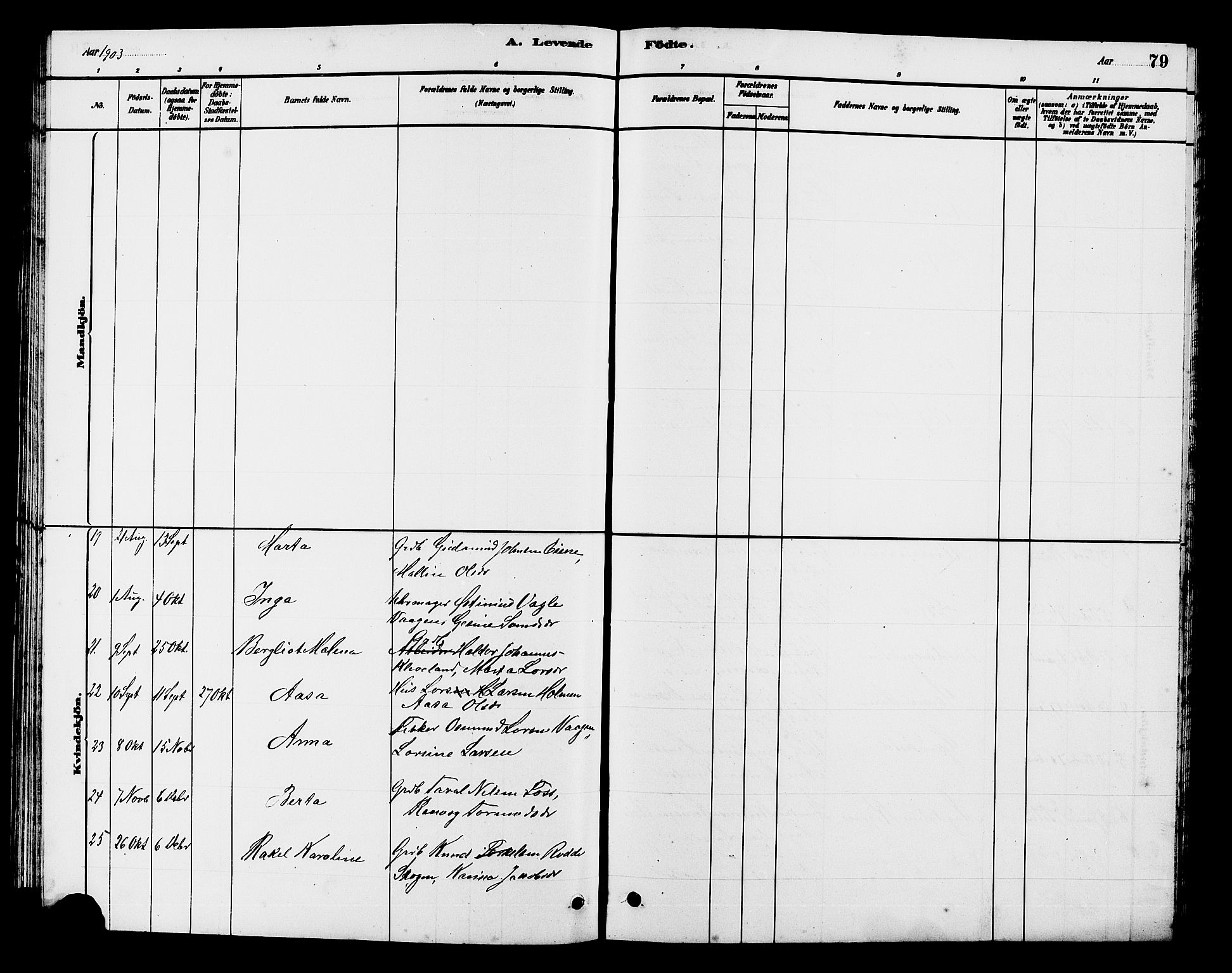 Hjelmeland sokneprestkontor, AV/SAST-A-101843/01/V/L0007: Parish register (copy) no. B 7, 1880-1909, p. 79