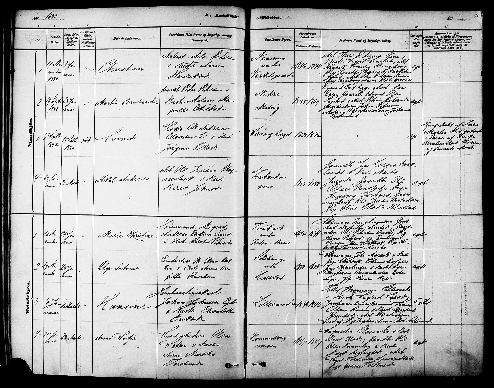 Ministerialprotokoller, klokkerbøker og fødselsregistre - Sør-Trøndelag, SAT/A-1456/616/L0410: Parish register (official) no. 616A07, 1878-1893, p. 55