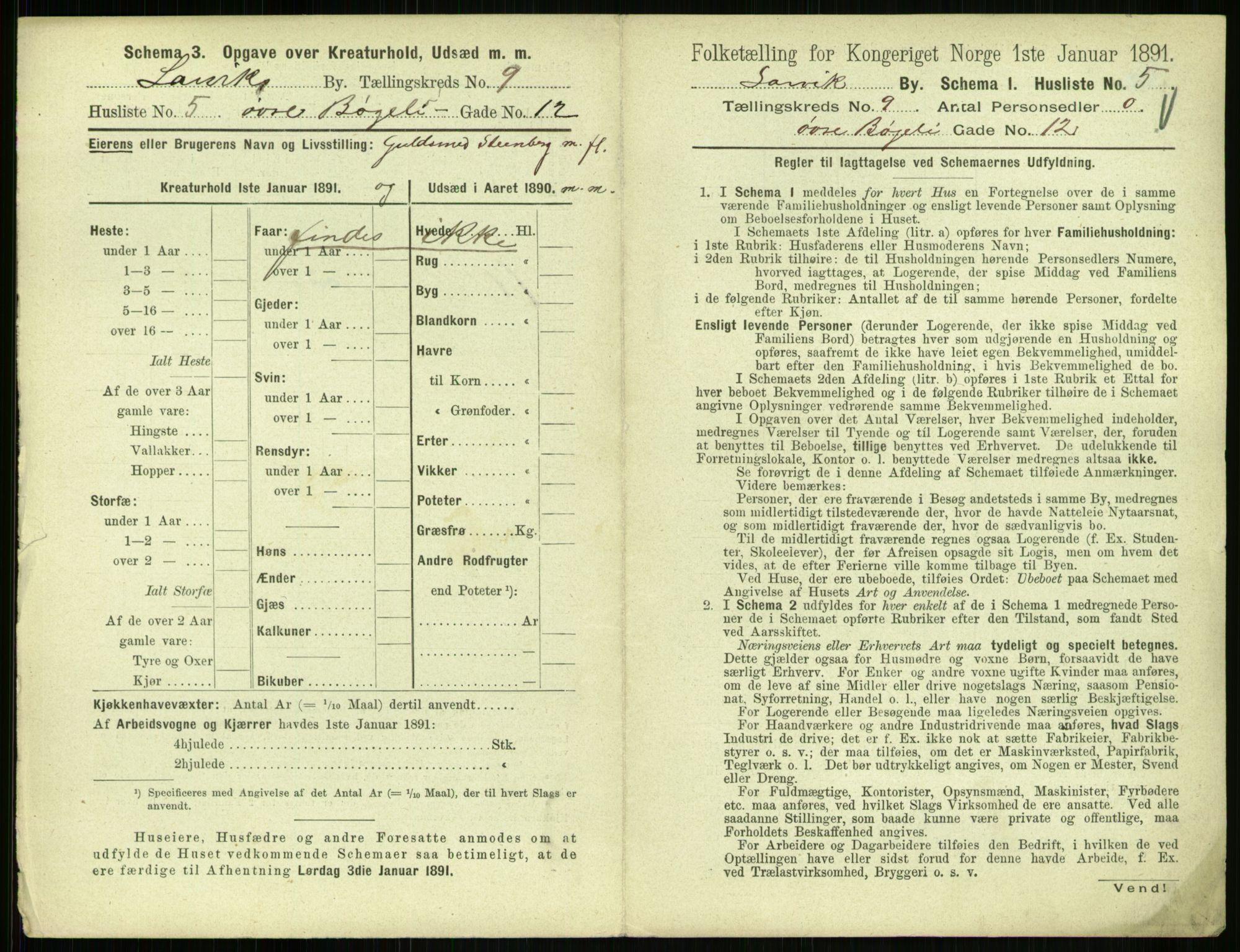 RA, 1891 census for 0707 Larvik, 1891, p. 1129