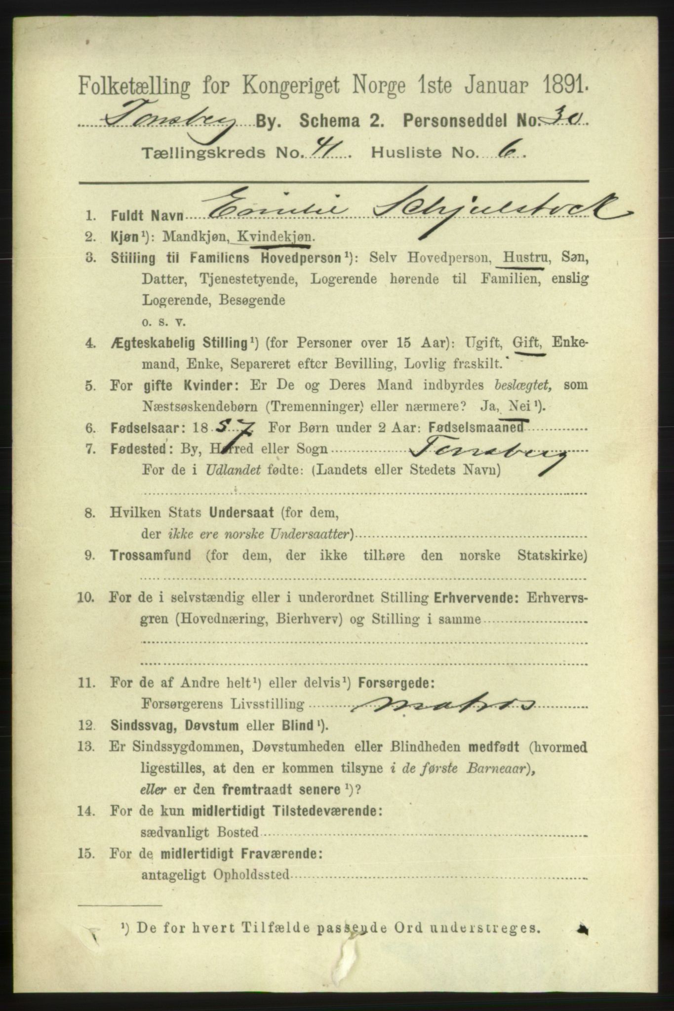 RA, 1891 census for 0705 Tønsberg, 1891, p. 8829