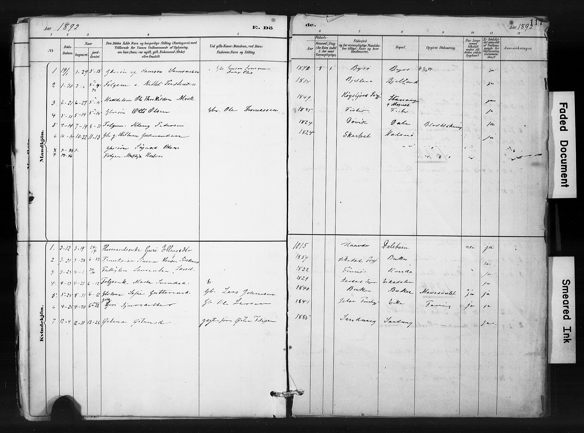 Hjelmeland sokneprestkontor, SAST/A-101843/01/IV/L0015: Parish register (official) no. A 15, 1887-1910, p. 117