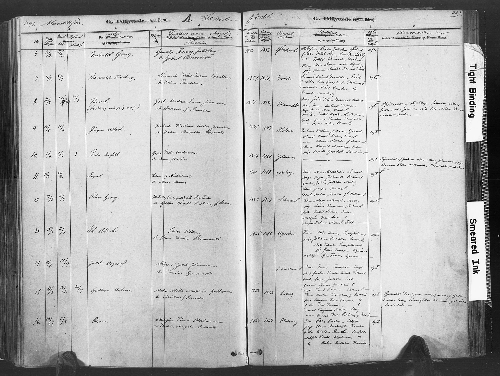 Høvåg sokneprestkontor, AV/SAK-1111-0025/F/Fa/L0005: Parish register (official) no. A 5, 1878-1893, p. 369