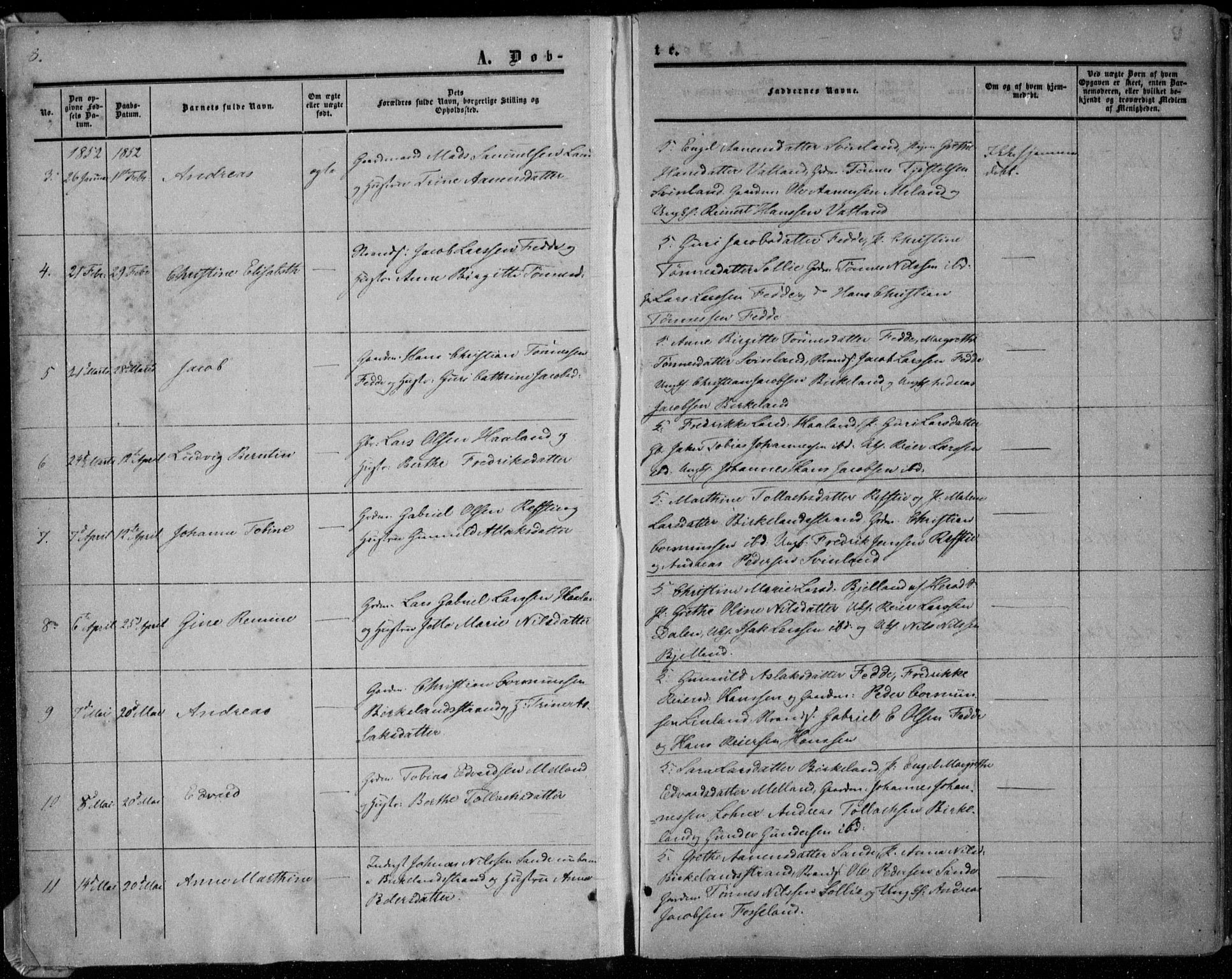 Kvinesdal sokneprestkontor, AV/SAK-1111-0026/F/Fa/Faa/L0002: Parish register (official) no. A 2, 1850-1876, p. 8