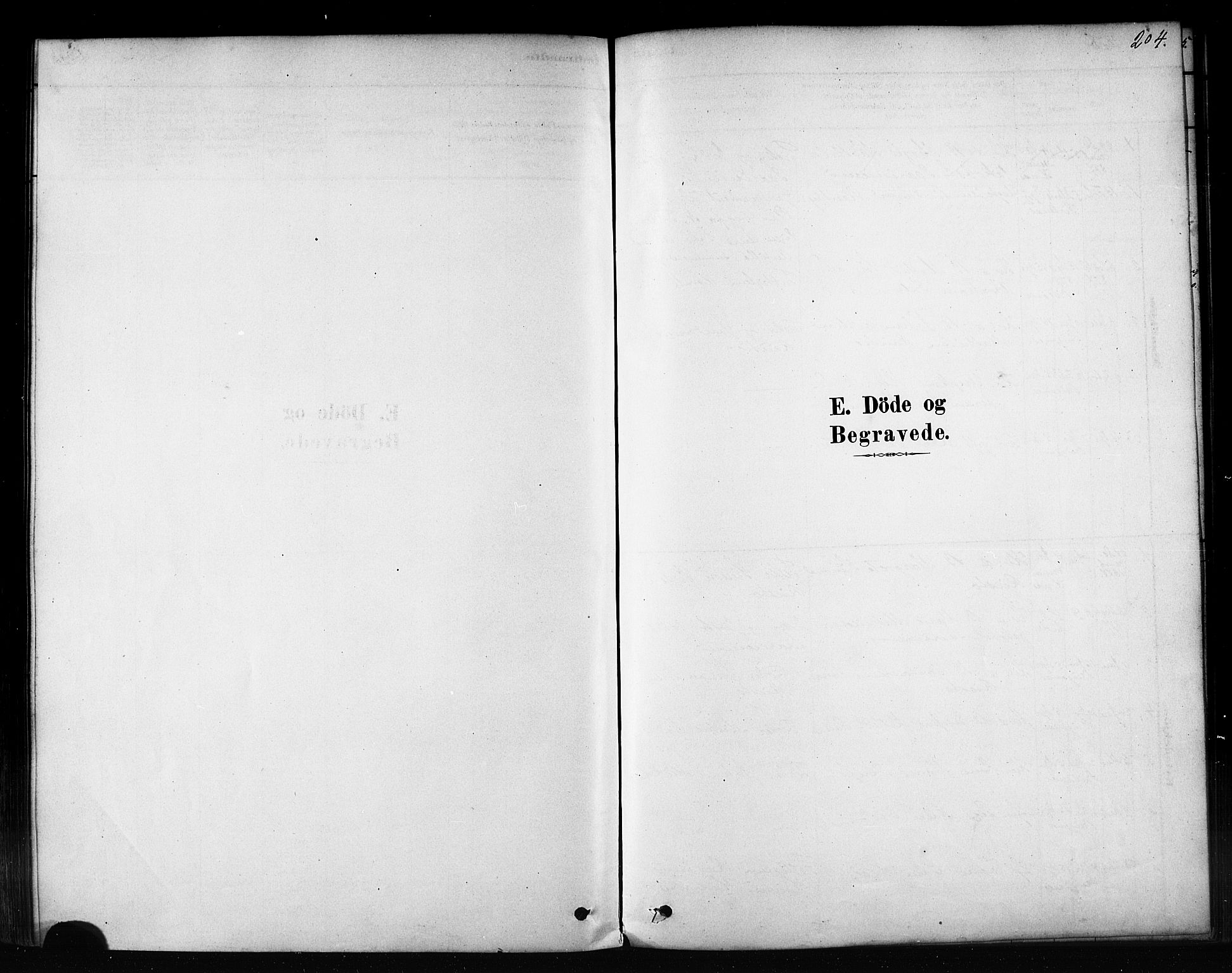 Sør-Varanger sokneprestkontor, SATØ/S-1331/H/Ha/L0003kirke: Parish register (official) no. 3, 1878-1891, p. 204
