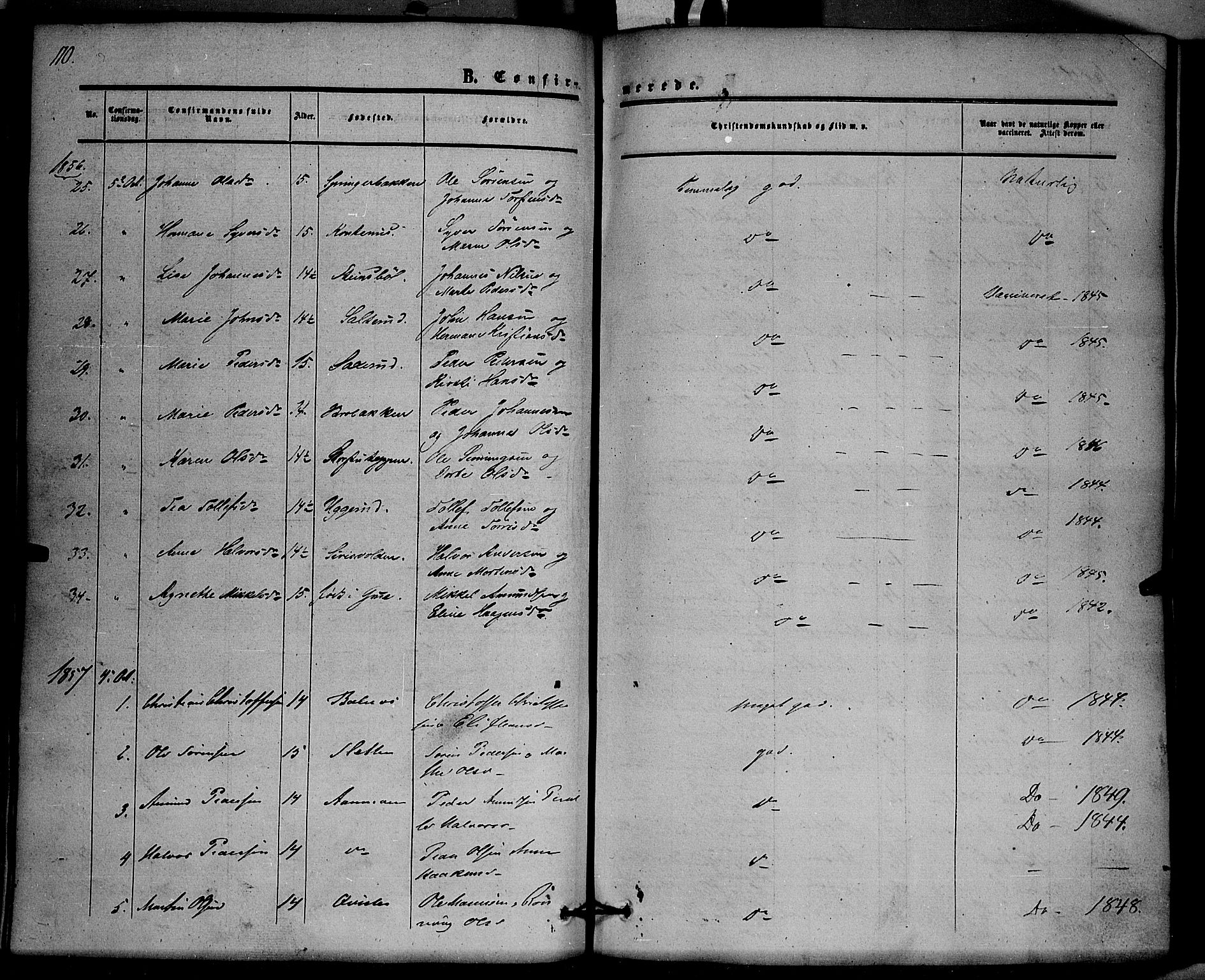Hof prestekontor, SAH/PREST-038/H/Ha/Haa/L0008: Parish register (official) no. 8, 1849-1861, p. 110