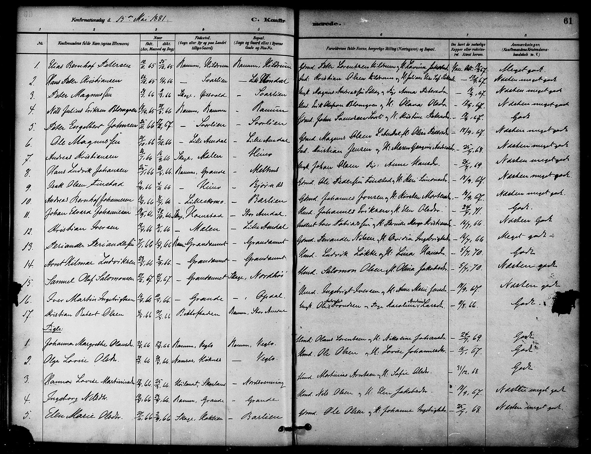 Ministerialprotokoller, klokkerbøker og fødselsregistre - Nord-Trøndelag, AV/SAT-A-1458/764/L0555: Parish register (official) no. 764A10, 1881-1896, p. 61