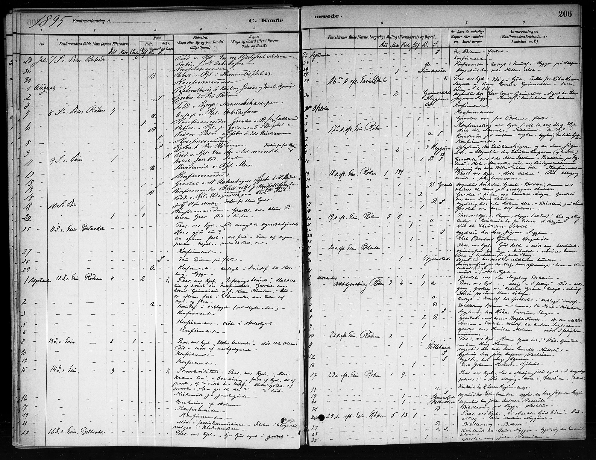 Røyken kirkebøker, AV/SAKO-A-241/F/Fa/L0008: Parish register (official) no. 8, 1880-1897, p. 206