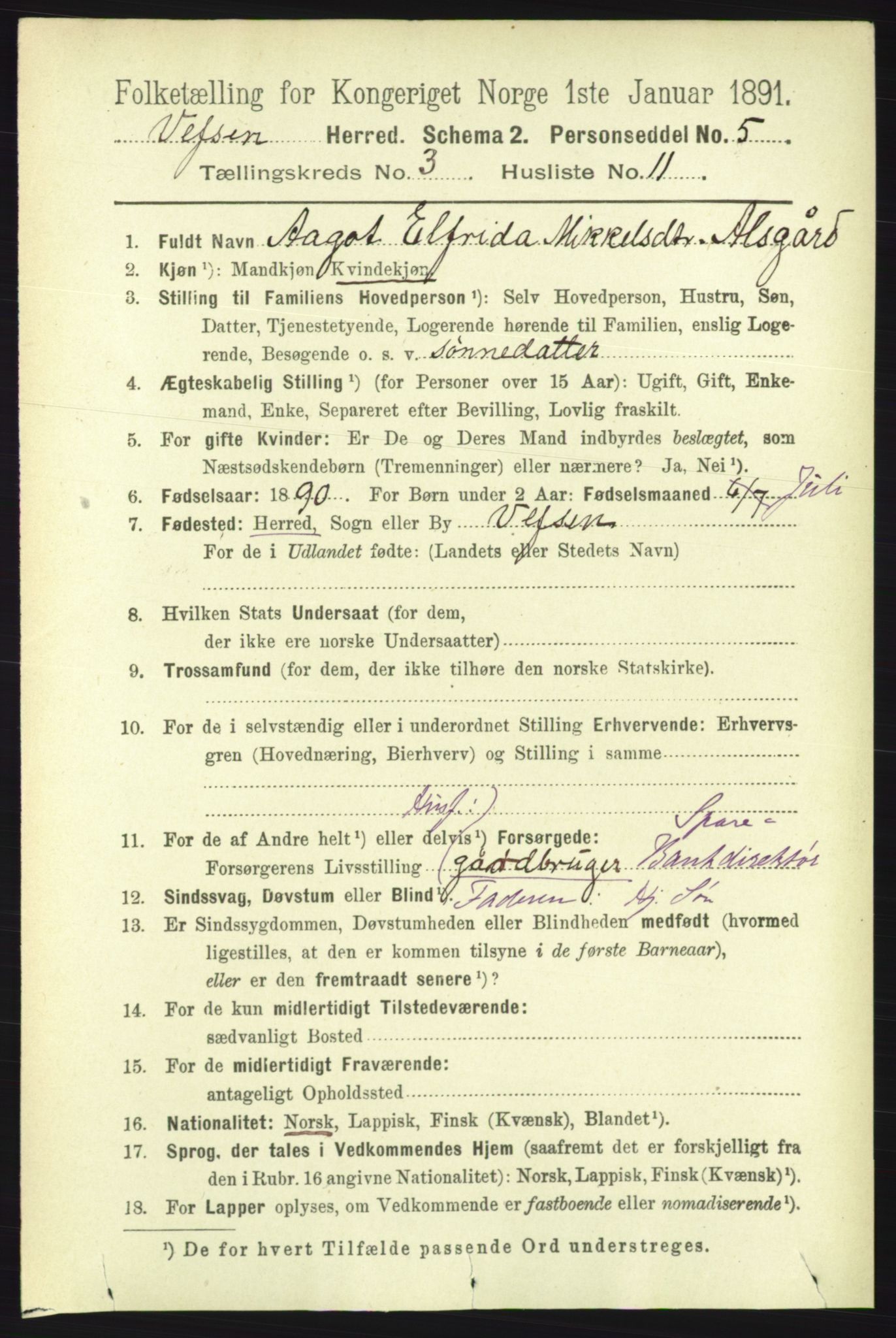 RA, 1891 census for 1824 Vefsn, 1891, p. 1347