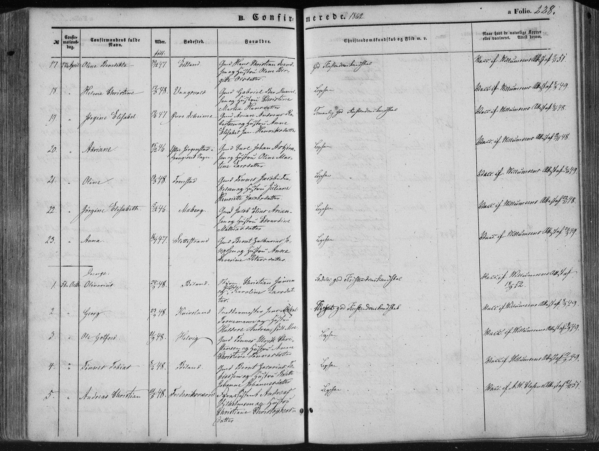 Lista sokneprestkontor, AV/SAK-1111-0027/F/Fa/L0011: Parish register (official) no. A 11, 1861-1878, p. 228