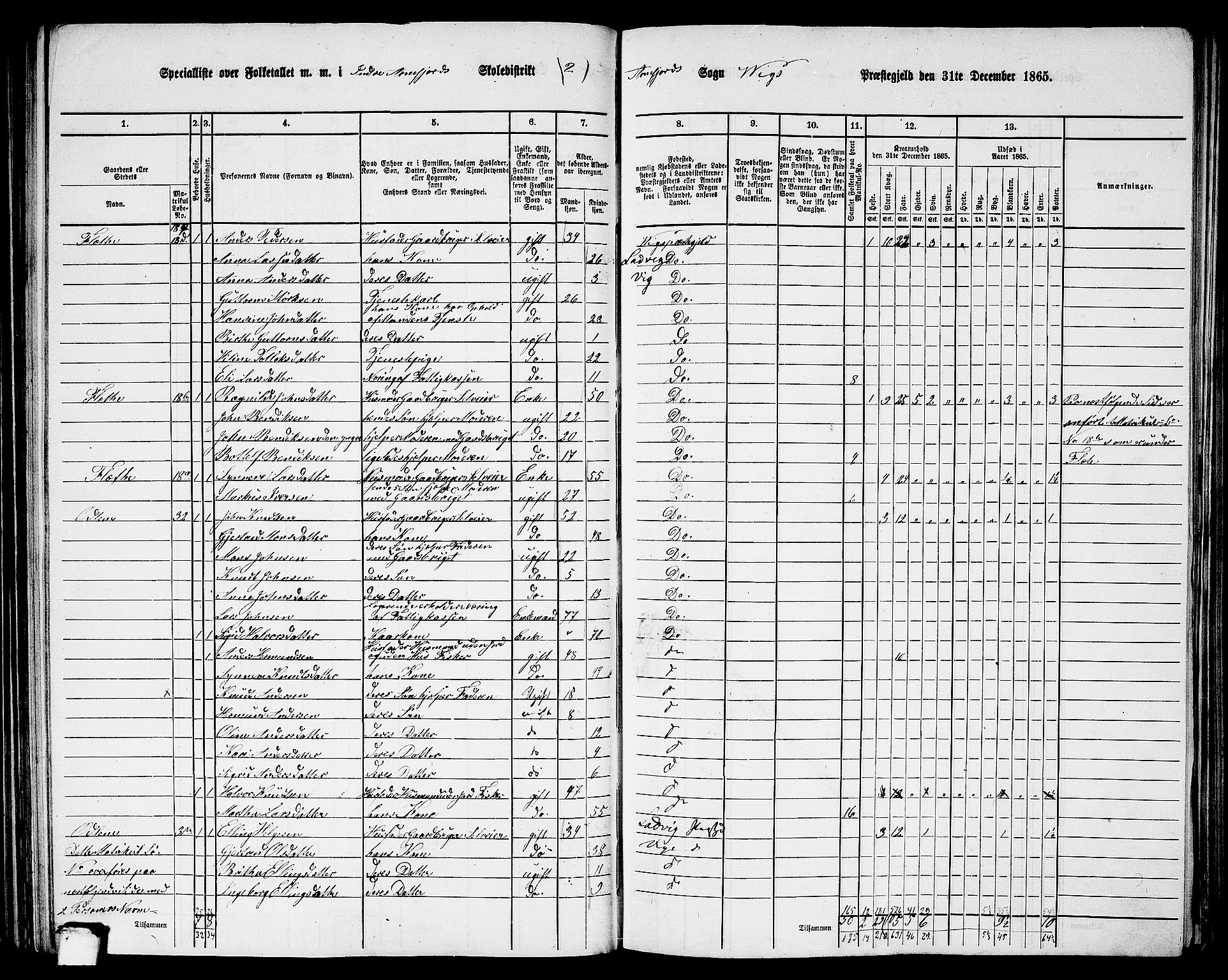 RA, 1865 census for Vik, 1865, p. 101