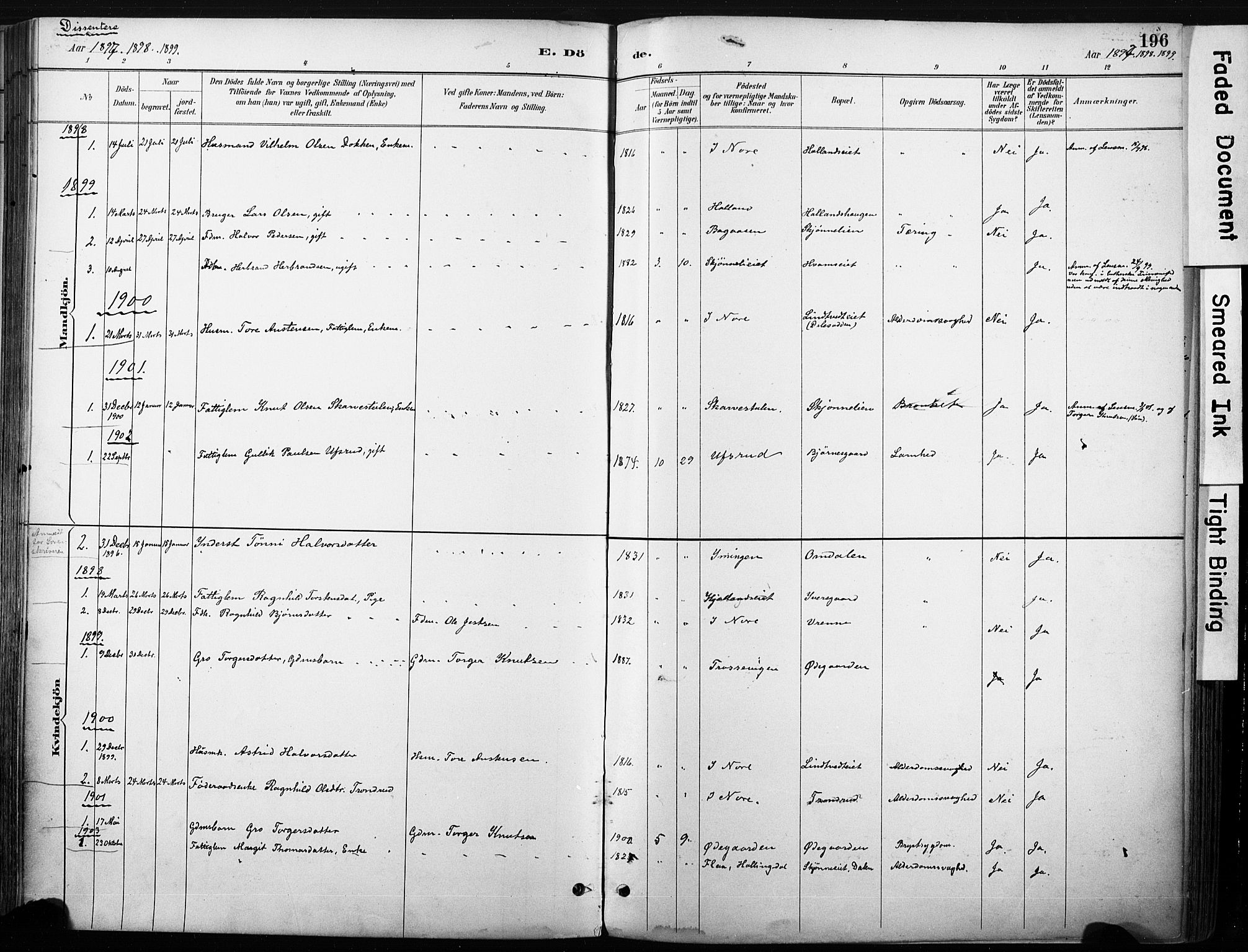 Nore kirkebøker, SAKO/A-238/F/Fb/L0002: Parish register (official) no. II 2, 1886-1906, p. 196
