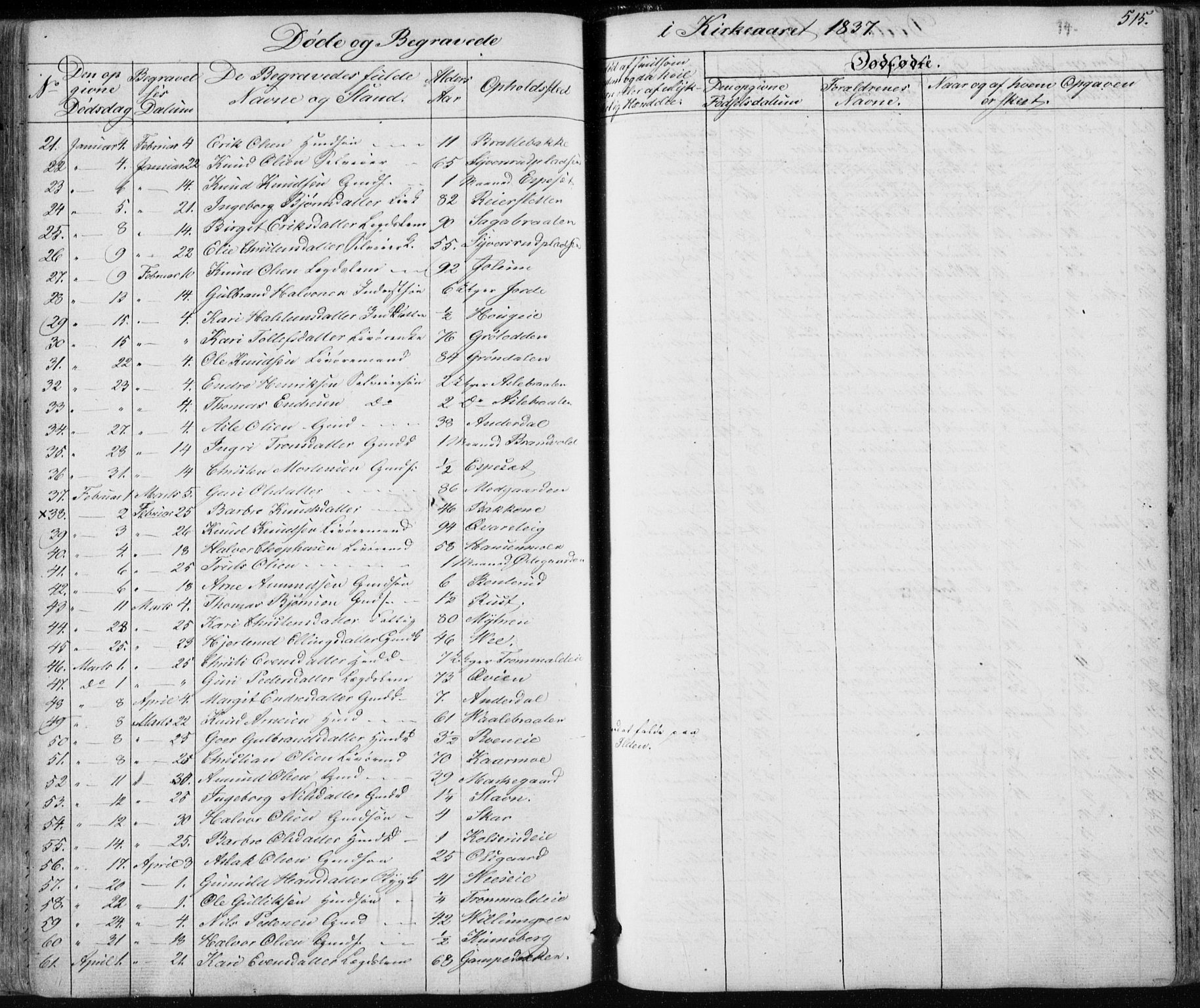 Nes kirkebøker, AV/SAKO-A-236/F/Fa/L0009: Parish register (official) no. 9, 1834-1863, p. 515