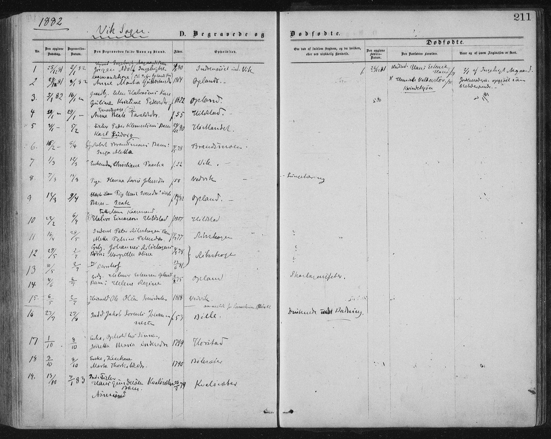 Ministerialprotokoller, klokkerbøker og fødselsregistre - Nord-Trøndelag, SAT/A-1458/771/L0596: Parish register (official) no. 771A03, 1870-1884, p. 211