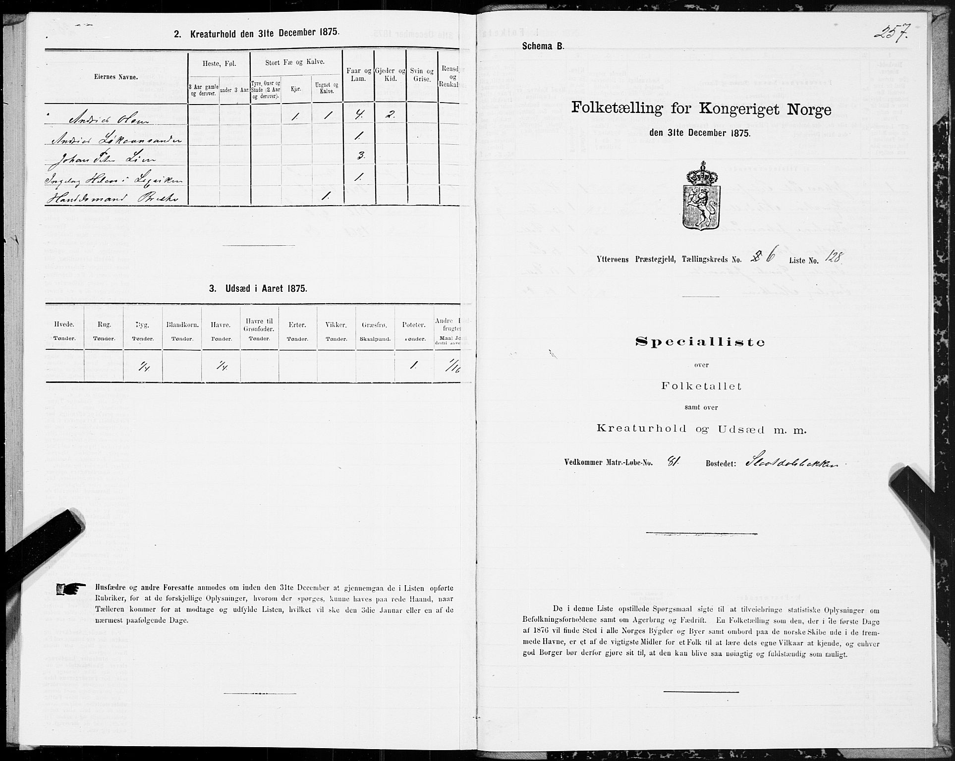 SAT, 1875 census for 1722P Ytterøy, 1875, p. 3257