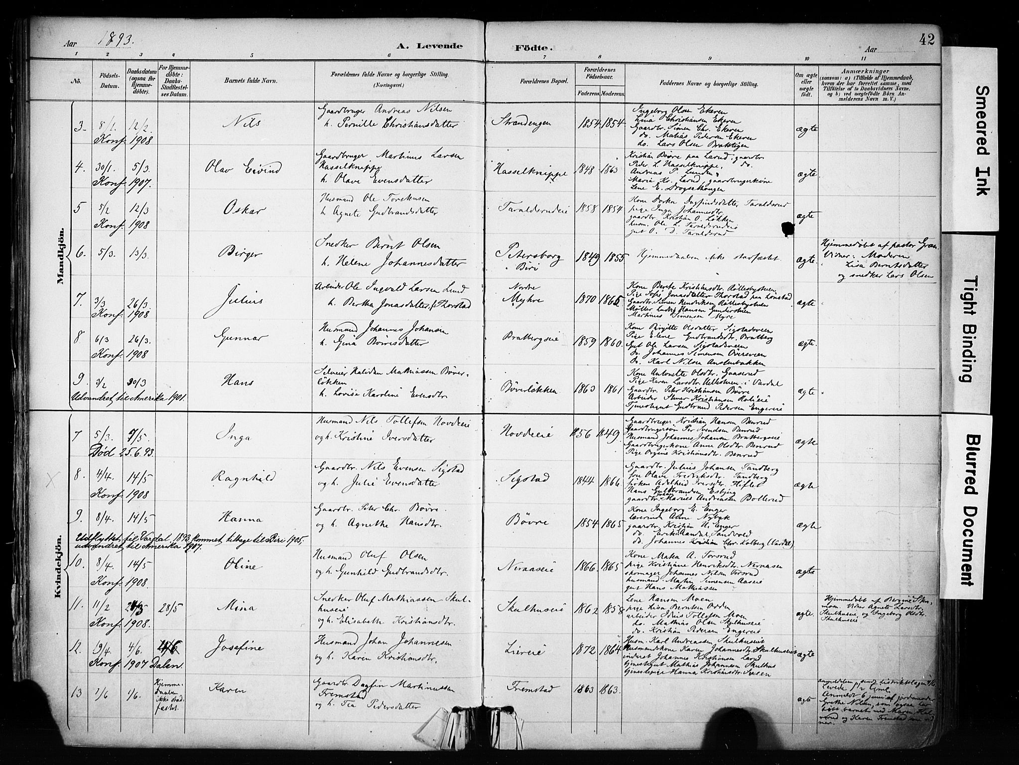 Biri prestekontor, AV/SAH-PREST-096/H/Ha/Haa/L0009: Parish register (official) no. 9, 1887-1900, p. 42