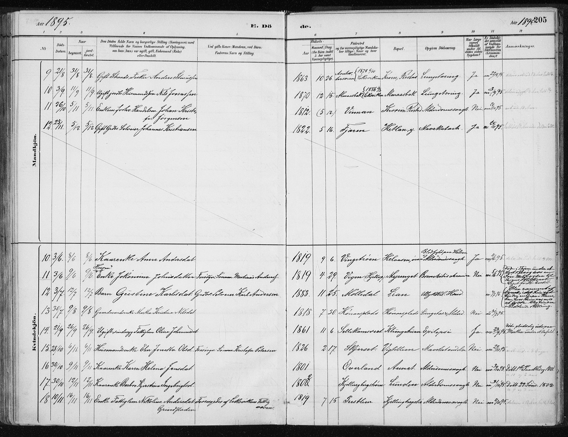 Ministerialprotokoller, klokkerbøker og fødselsregistre - Nord-Trøndelag, AV/SAT-A-1458/701/L0010: Parish register (official) no. 701A10, 1883-1899, p. 205