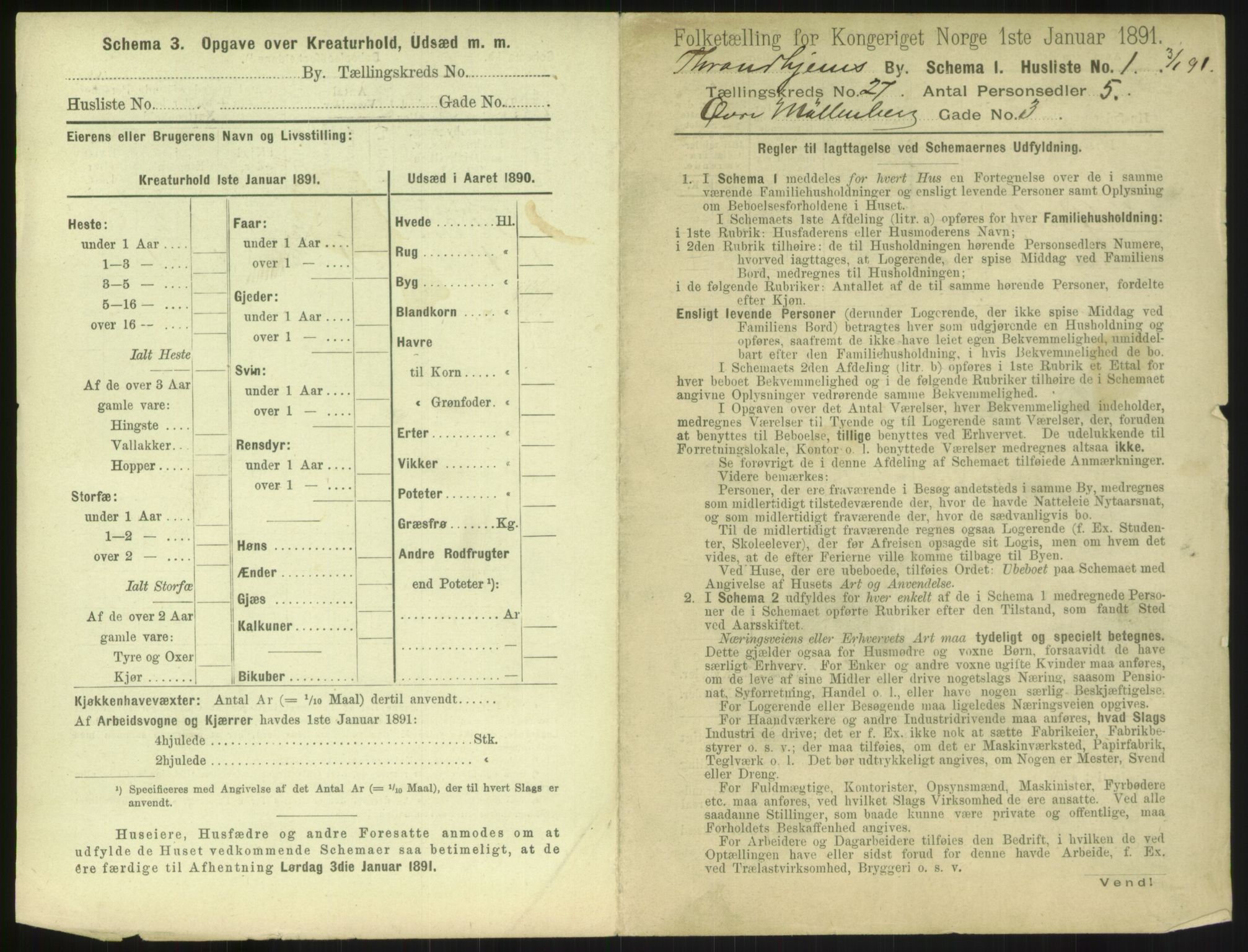 RA, 1891 census for 1601 Trondheim, 1891, p. 1884