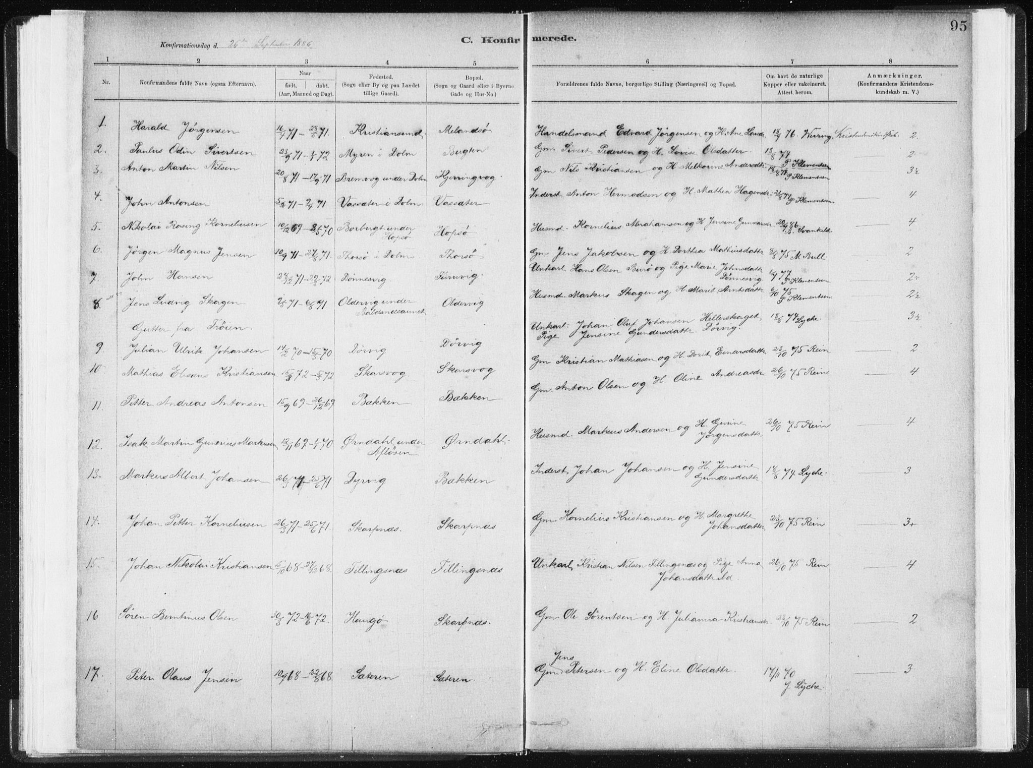 Ministerialprotokoller, klokkerbøker og fødselsregistre - Sør-Trøndelag, SAT/A-1456/634/L0533: Parish register (official) no. 634A09, 1882-1901, p. 95