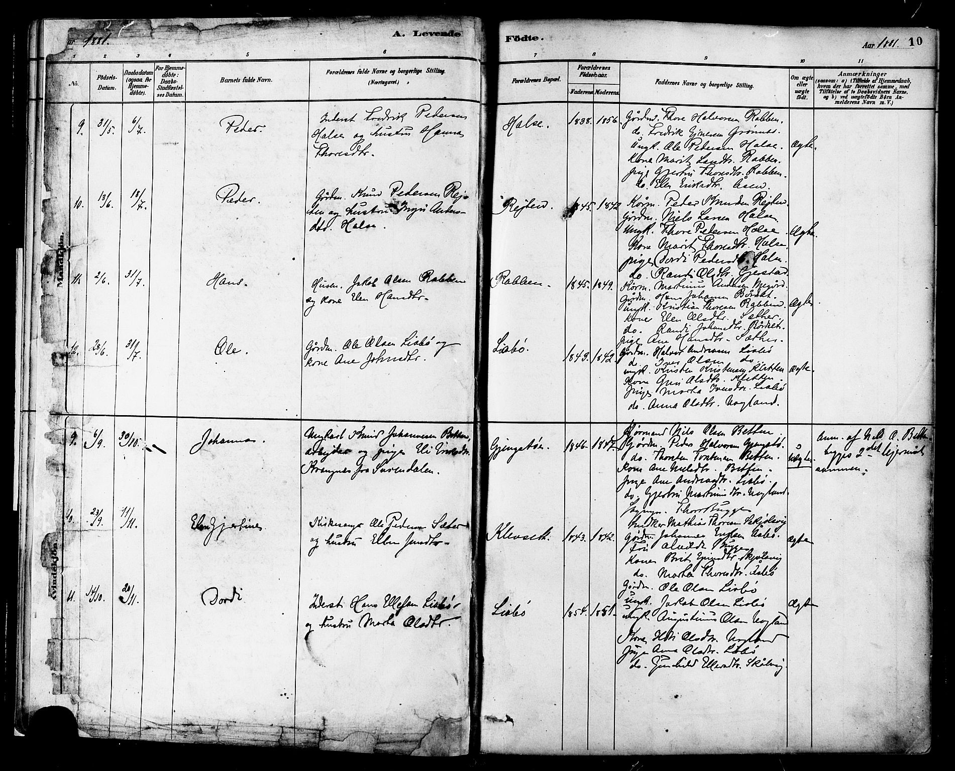 Ministerialprotokoller, klokkerbøker og fødselsregistre - Møre og Romsdal, AV/SAT-A-1454/576/L0885: Parish register (official) no. 576A03, 1880-1898, p. 10