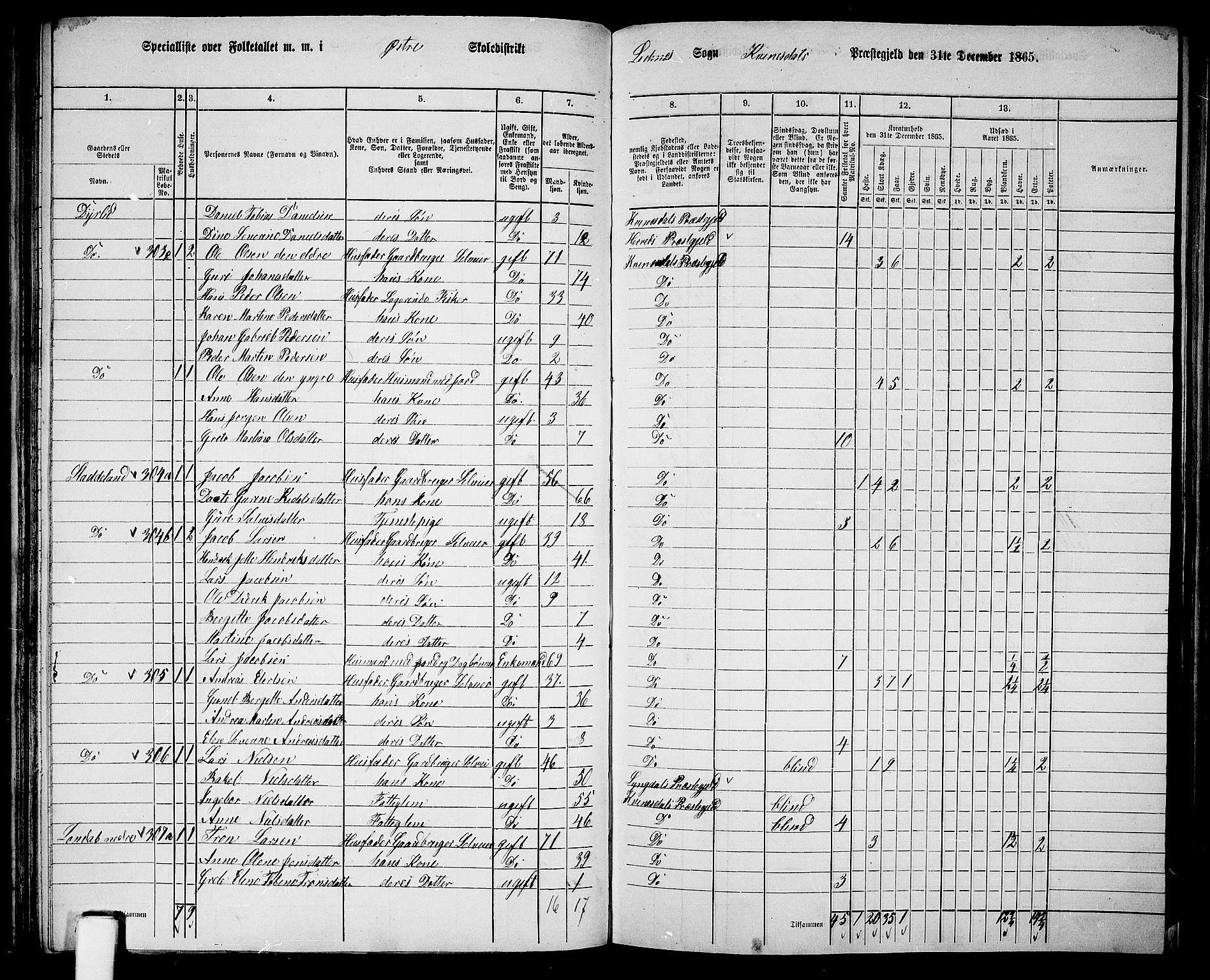 RA, 1865 census for Kvinesdal, 1865, p. 80