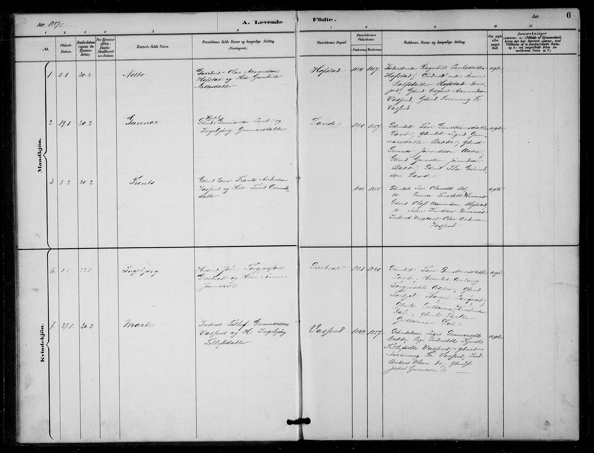 Bygland sokneprestkontor, AV/SAK-1111-0006/F/Fa/Fad/L0001: Parish register (official) no. A 1, 1885-1906, p. 6