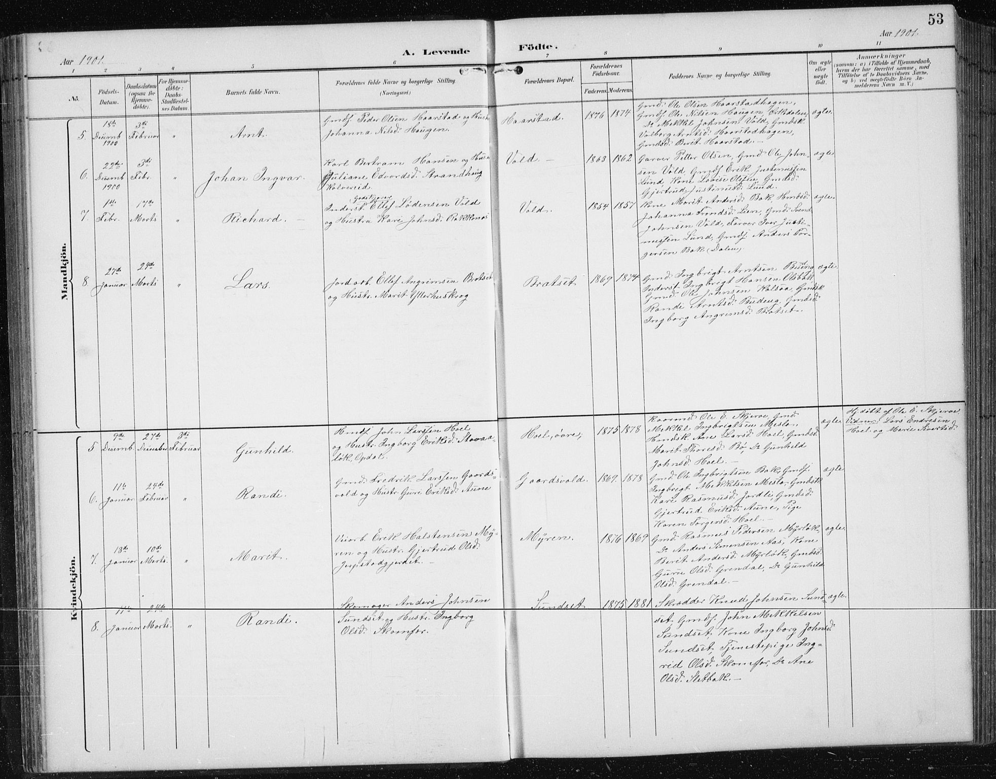 Ministerialprotokoller, klokkerbøker og fødselsregistre - Sør-Trøndelag, AV/SAT-A-1456/674/L0876: Parish register (copy) no. 674C03, 1892-1912, p. 53