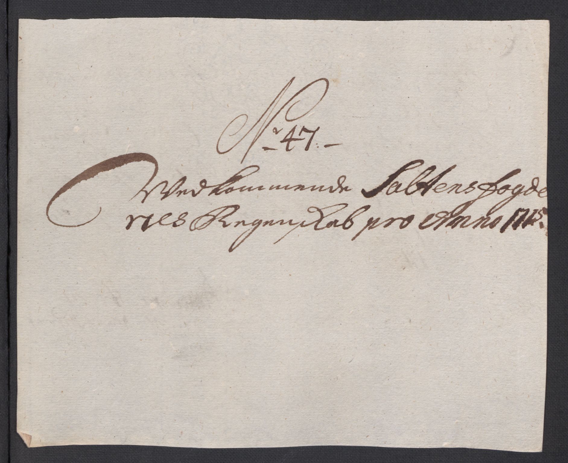 Rentekammeret inntil 1814, Reviderte regnskaper, Fogderegnskap, RA/EA-4092/R66/L4585: Fogderegnskap Salten, 1715, p. 313