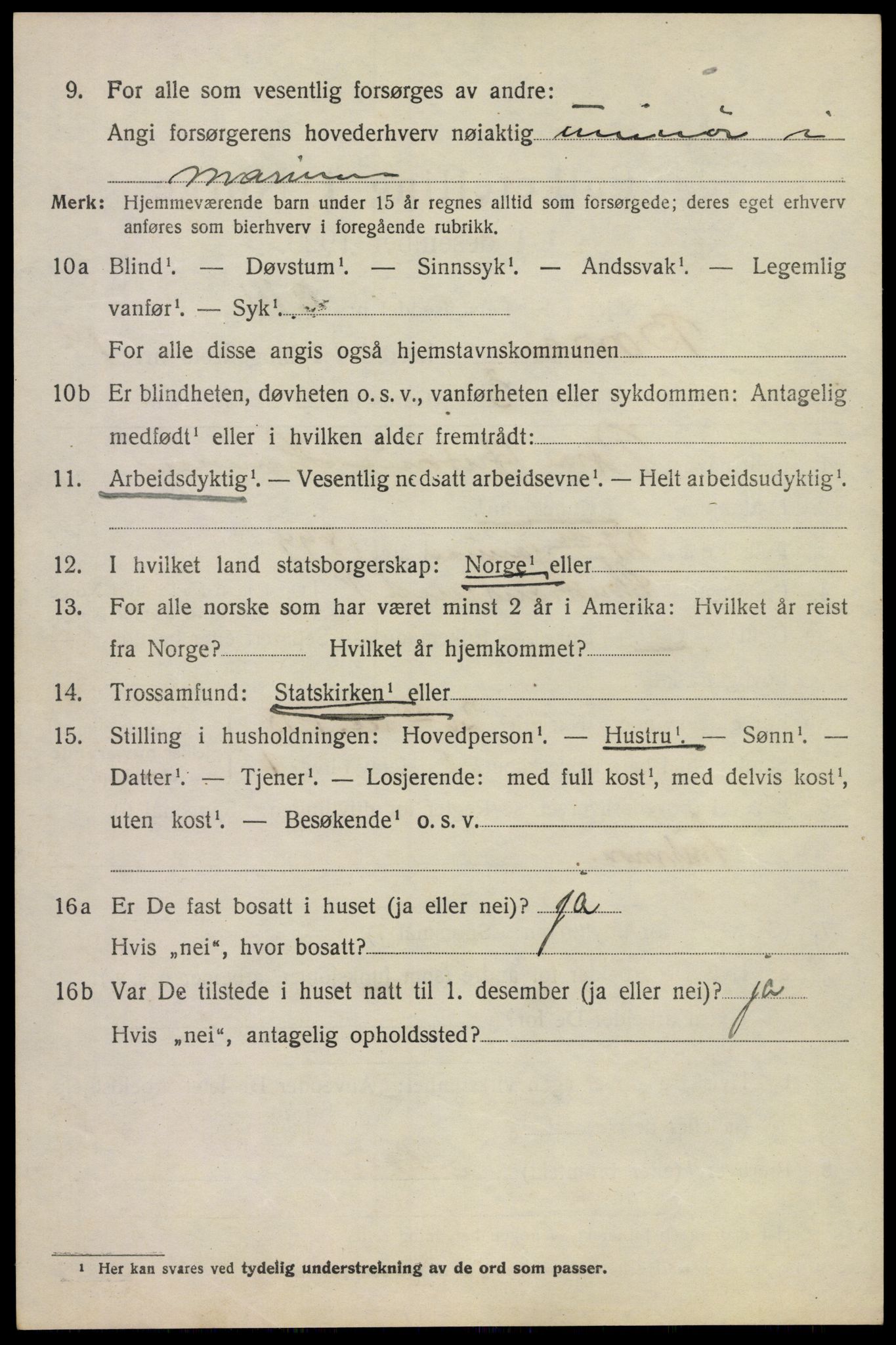 SAKO, 1920 census for Borre, 1920, p. 1435