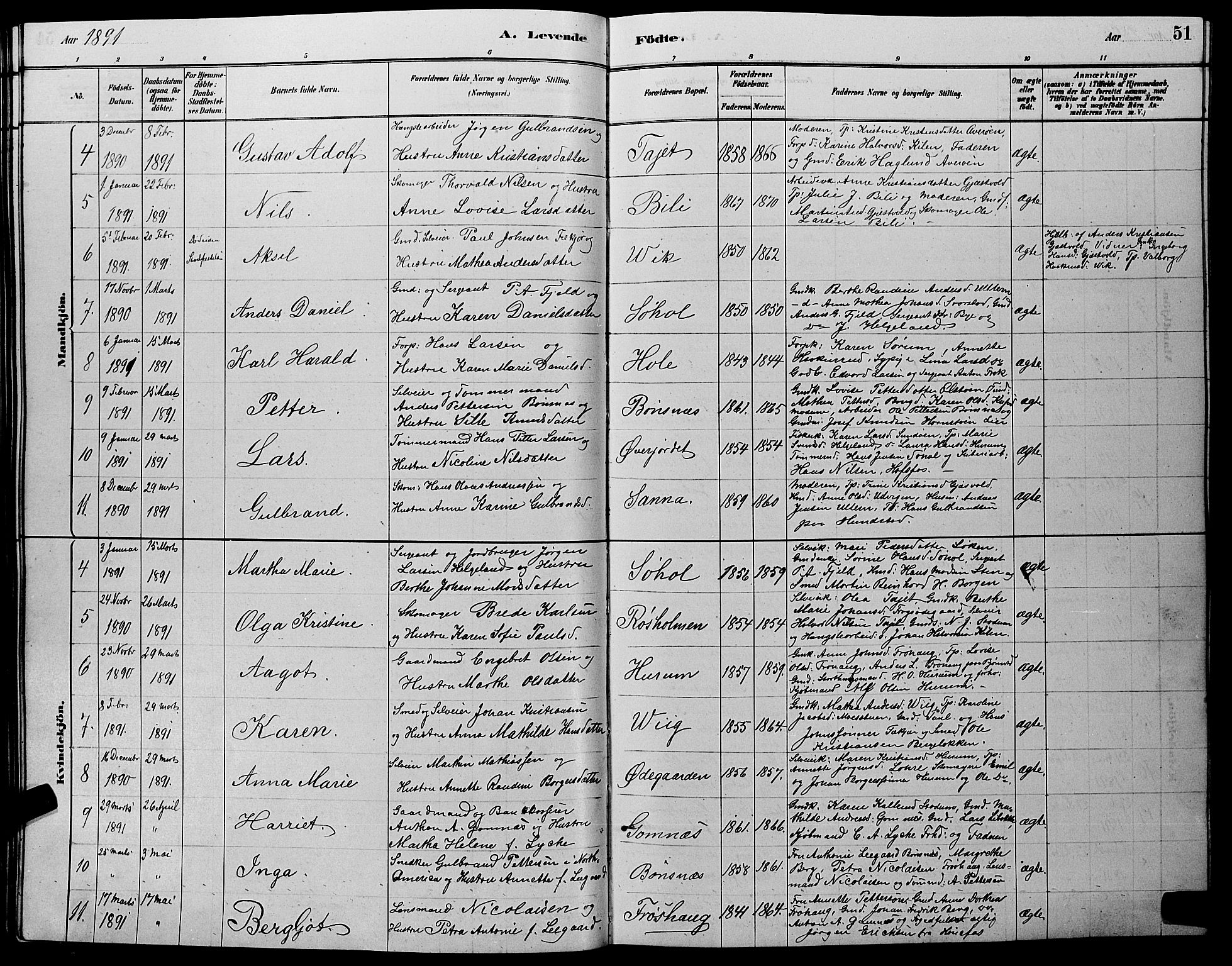 Hole kirkebøker, SAKO/A-228/G/Ga/L0003: Parish register (copy) no. I 3, 1879-1904, p. 51