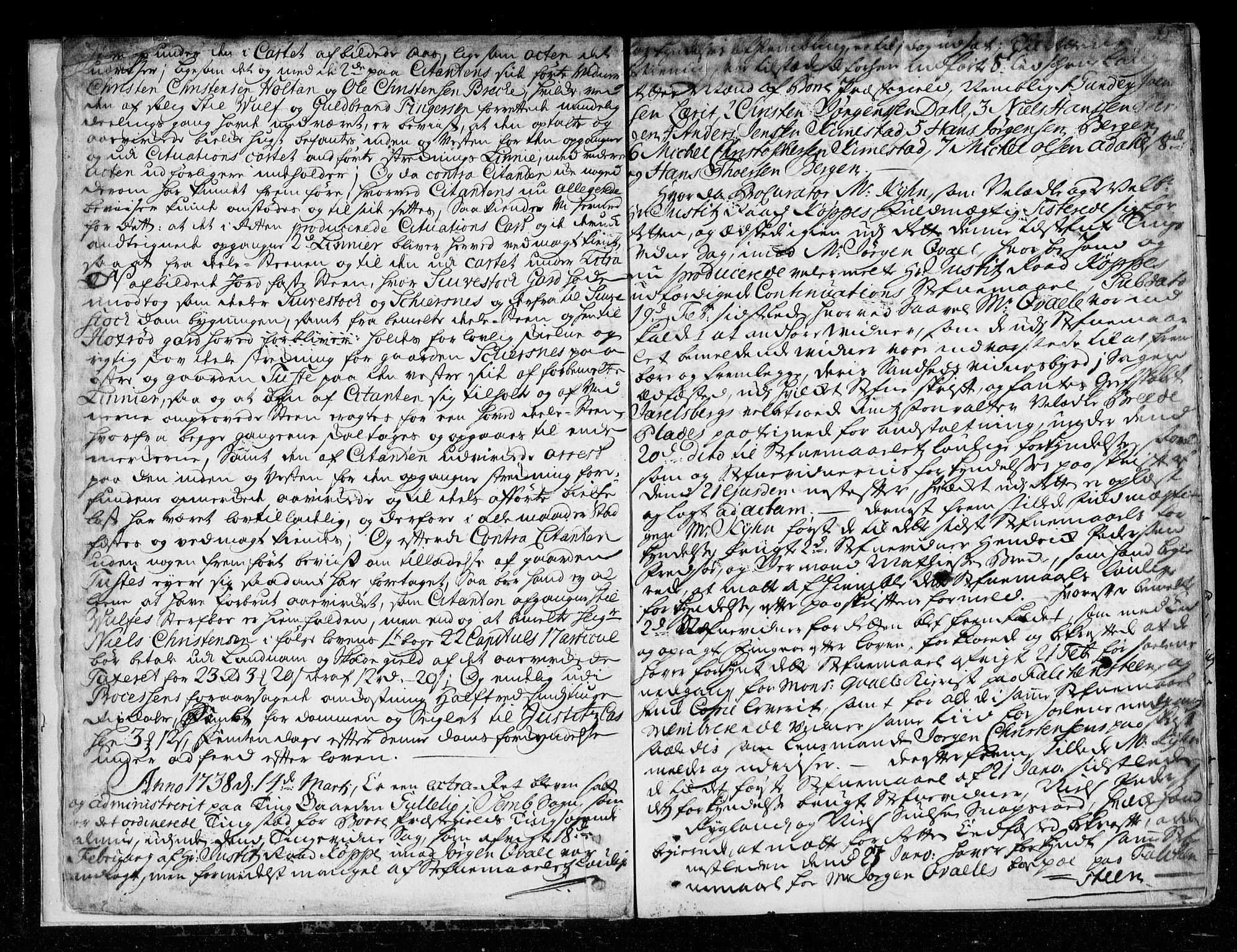Søndre Jarlsberg sorenskriveri, AV/SAKO-A-129/F/Fa/L0015: Tingbok, 1738-1742, p. 15