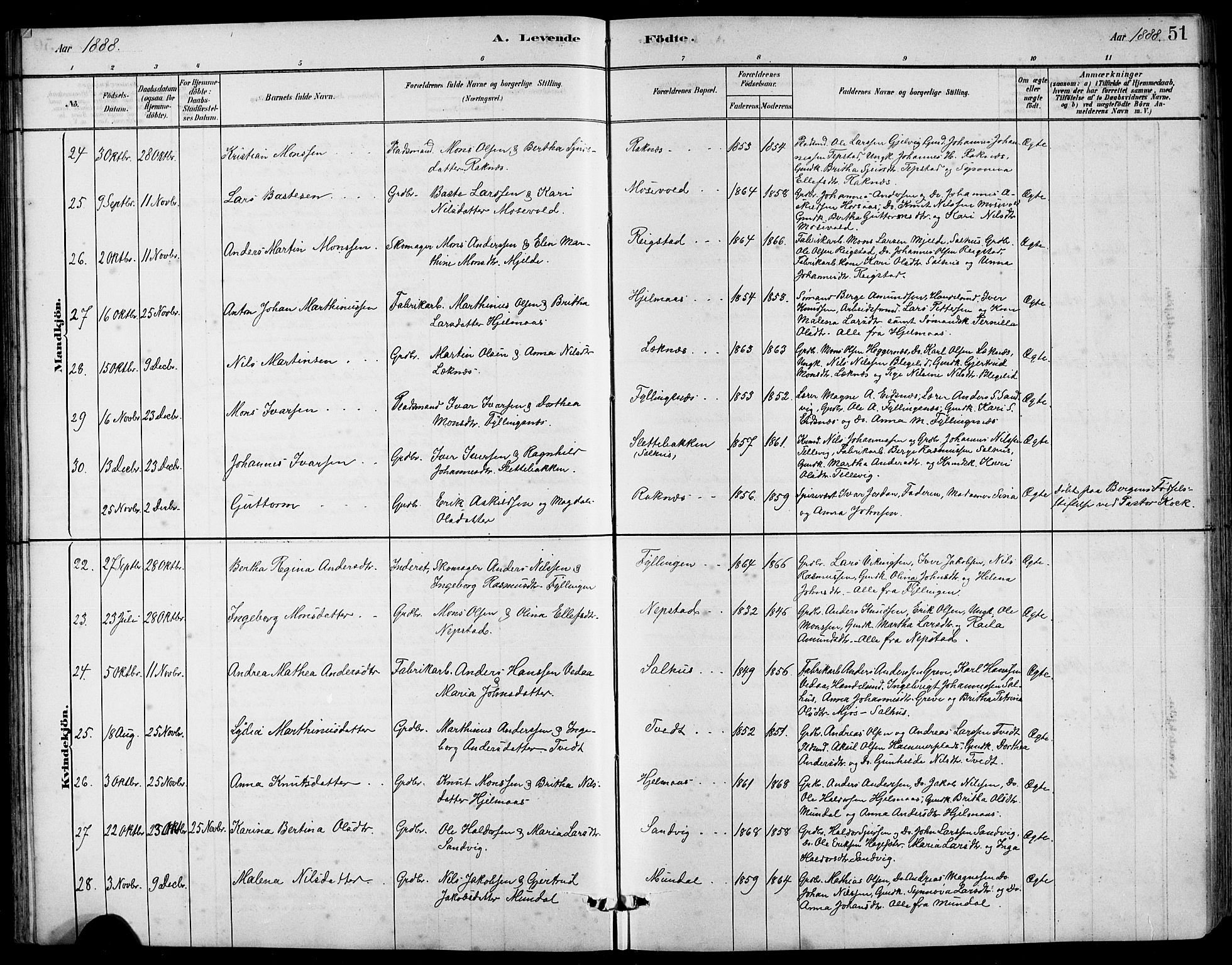 Hamre sokneprestembete, AV/SAB-A-75501/H/Ha/Hab: Parish register (copy) no. B 3, 1881-1898, p. 51