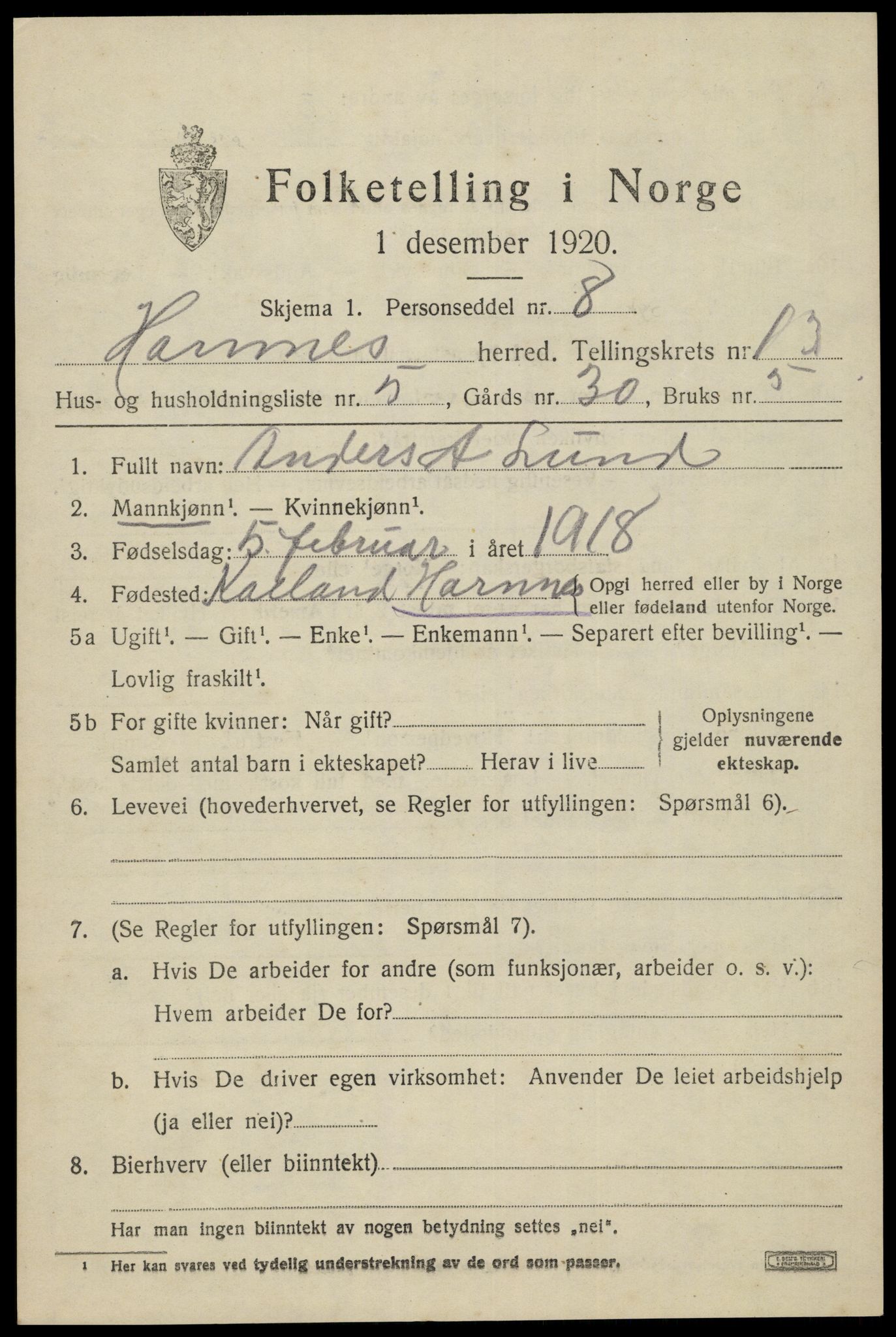 SAK, 1920 census for Hornnes, 1920, p. 3119