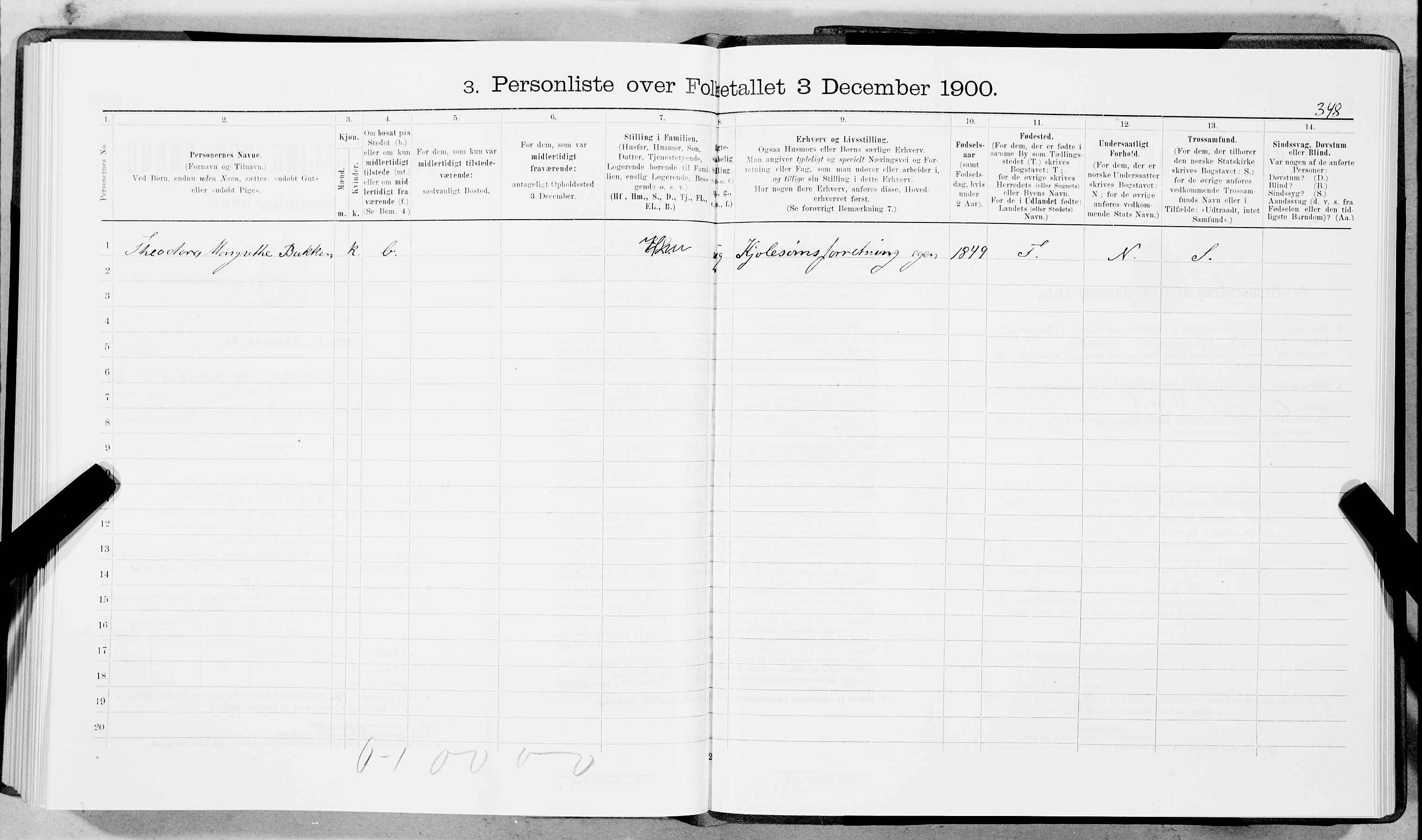 SAT, 1900 census for Trondheim, 1900, p. 4356