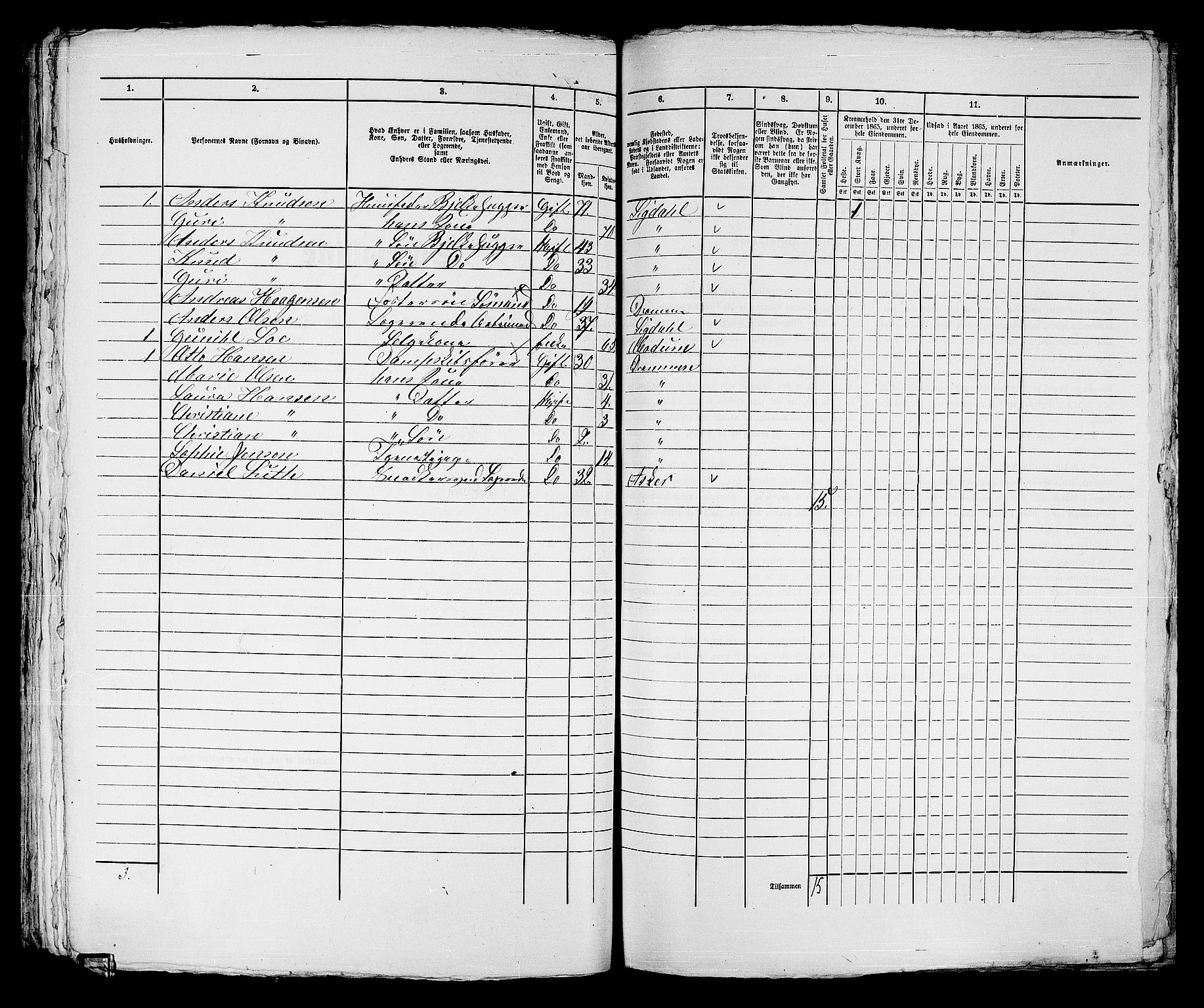 RA, 1865 census for Strømsø in Drammen, 1865, p. 336