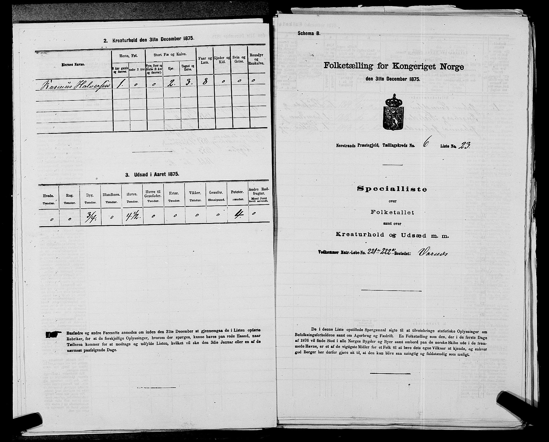 SAST, 1875 census for 1139P Nedstrand, 1875, p. 684