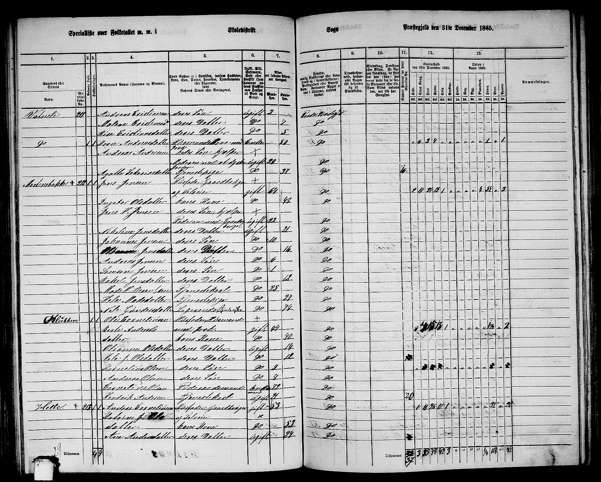 RA, 1865 census for Førde, 1865, p. 162