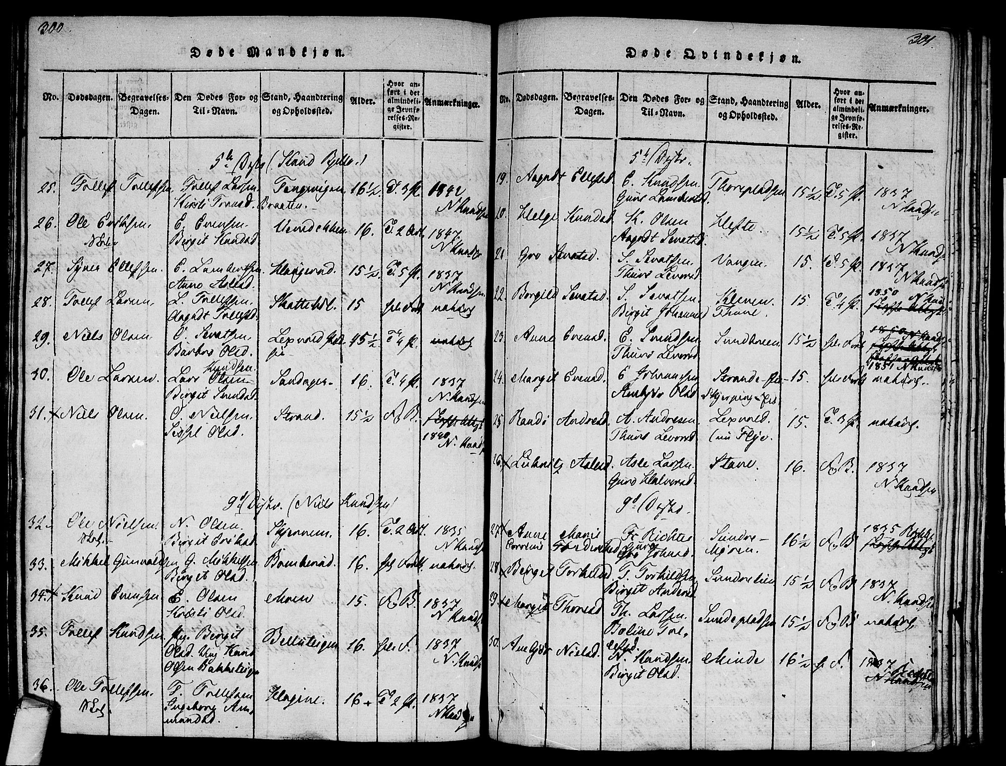 Ål kirkebøker, AV/SAKO-A-249/F/Fa/L0004: Parish register (official) no. I 4, 1815-1825, p. 300-301