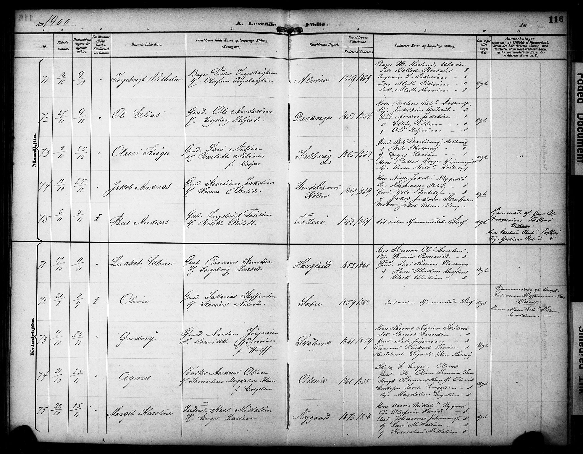 Askøy Sokneprestembete, AV/SAB-A-74101/H/Ha/Hab/Haba/L0009: Parish register (copy) no. A 9, 1894-1903, p. 116