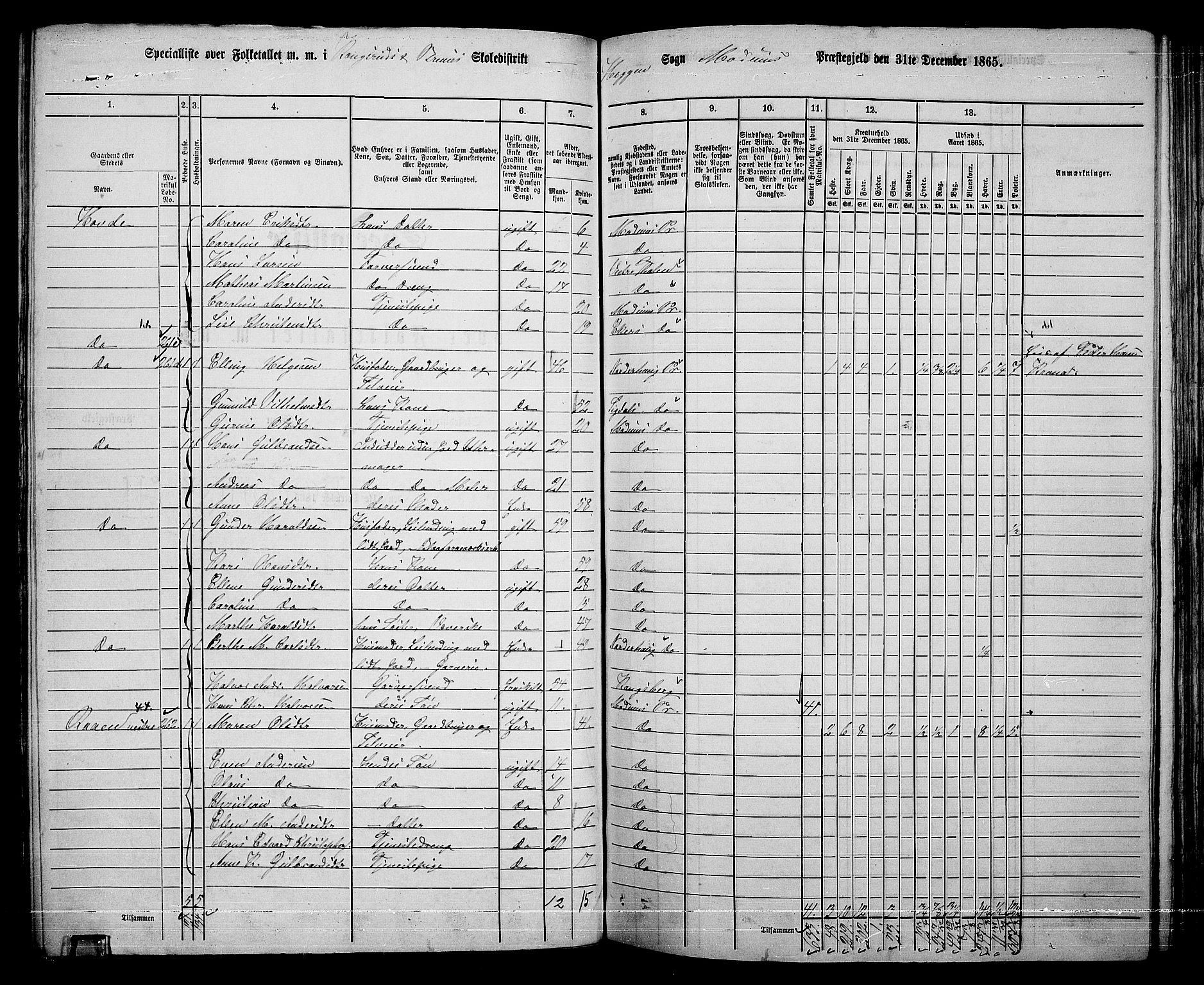 RA, 1865 census for Modum, 1865, p. 159