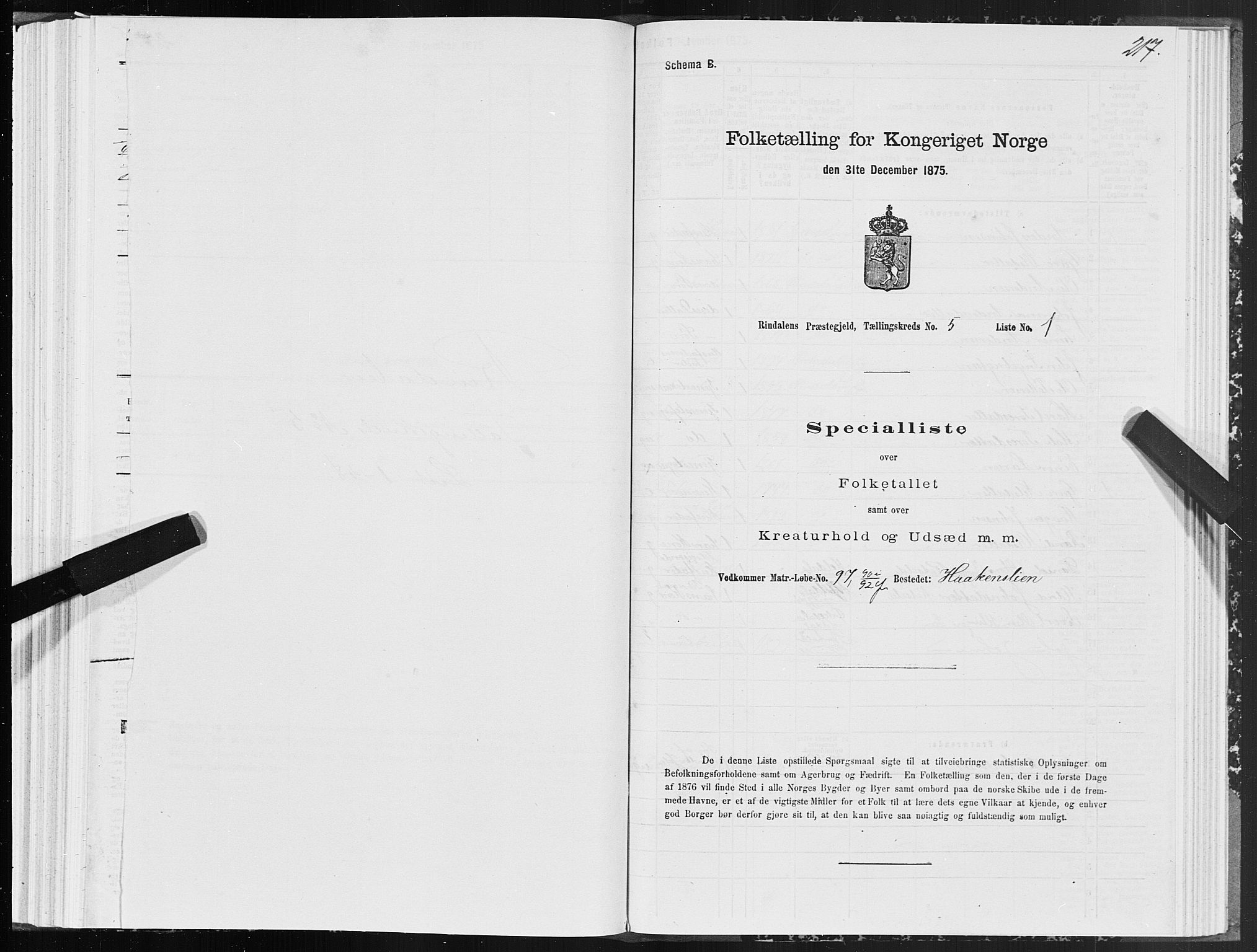 SAT, 1875 census for 1567P Rindal, 1875, p. 2217