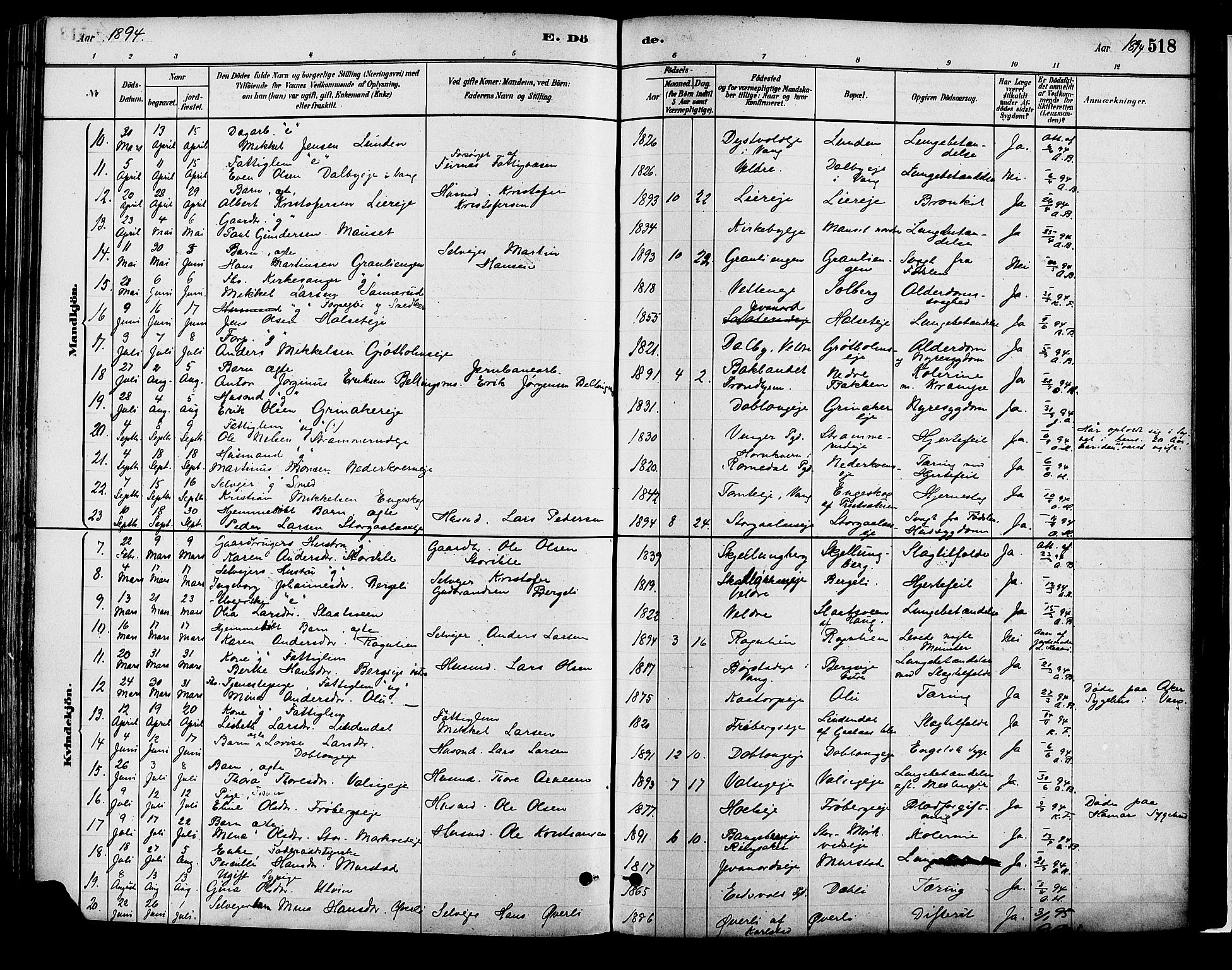 Vang prestekontor, Hedmark, SAH/PREST-008/H/Ha/Haa/L0018B: Parish register (official) no. 18B, 1880-1906, p. 518