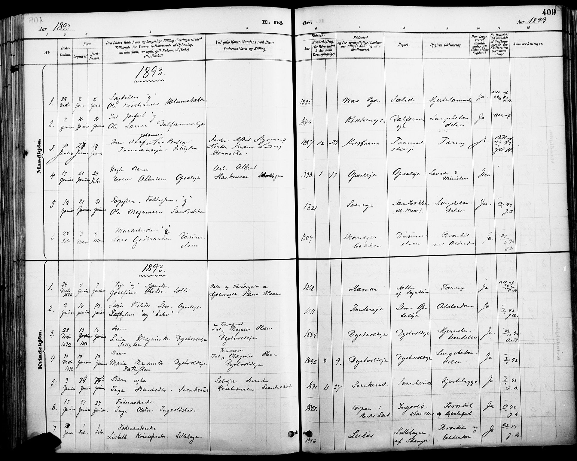 Vang prestekontor, Hedmark, SAH/PREST-008/H/Ha/Haa/L0019A: Parish register (official) no. 19, 1886-1900, p. 409