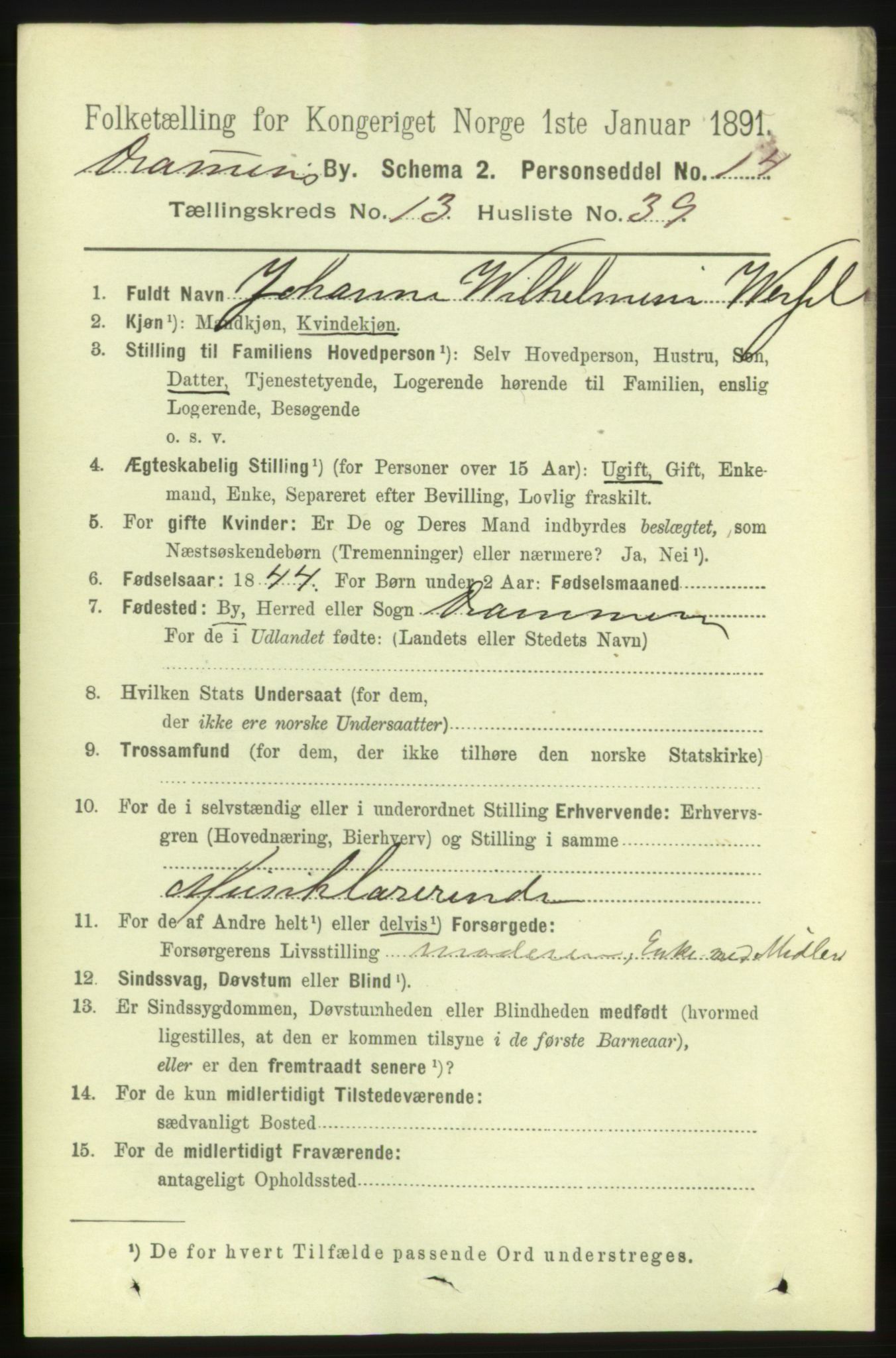 RA, 1891 census for 0602 Drammen, 1891, p. 10051