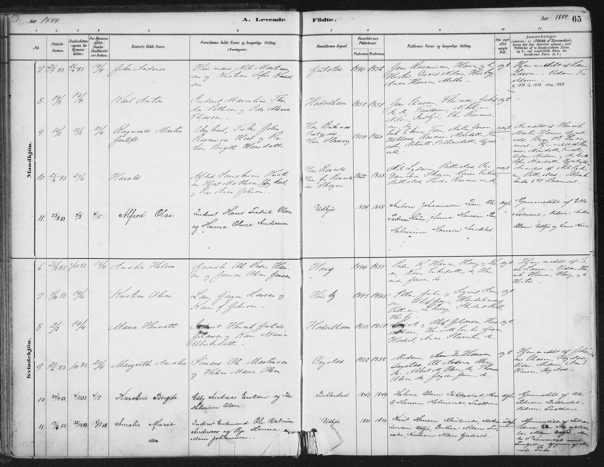 Ministerialprotokoller, klokkerbøker og fødselsregistre - Nordland, SAT/A-1459/888/L1244: Parish register (official) no. 888A10, 1880-1890, p. 65