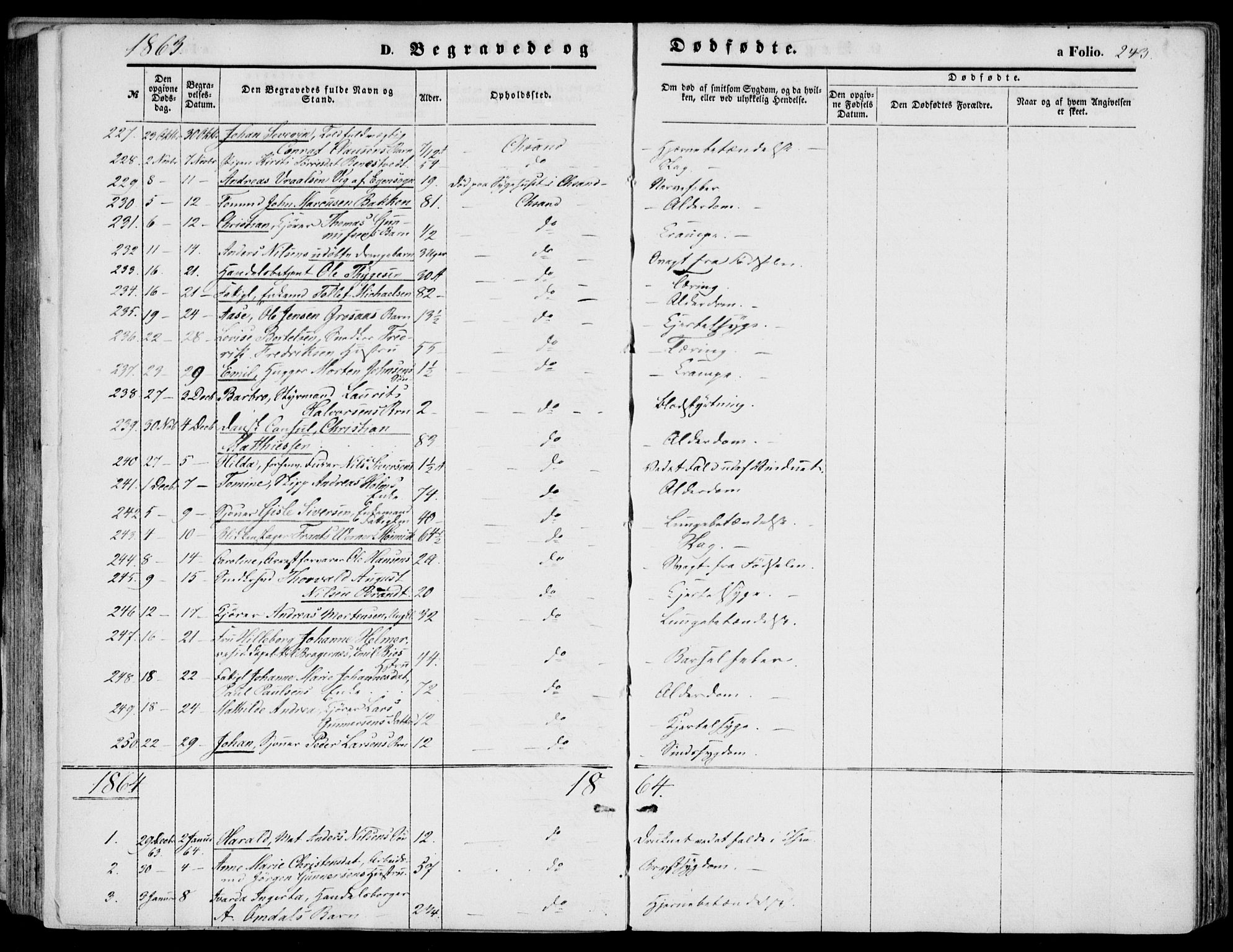 Kristiansand domprosti, SAK/1112-0006/F/Fb/L0012: Parish register (copy) no. B 12, 1861-1870, p. 243