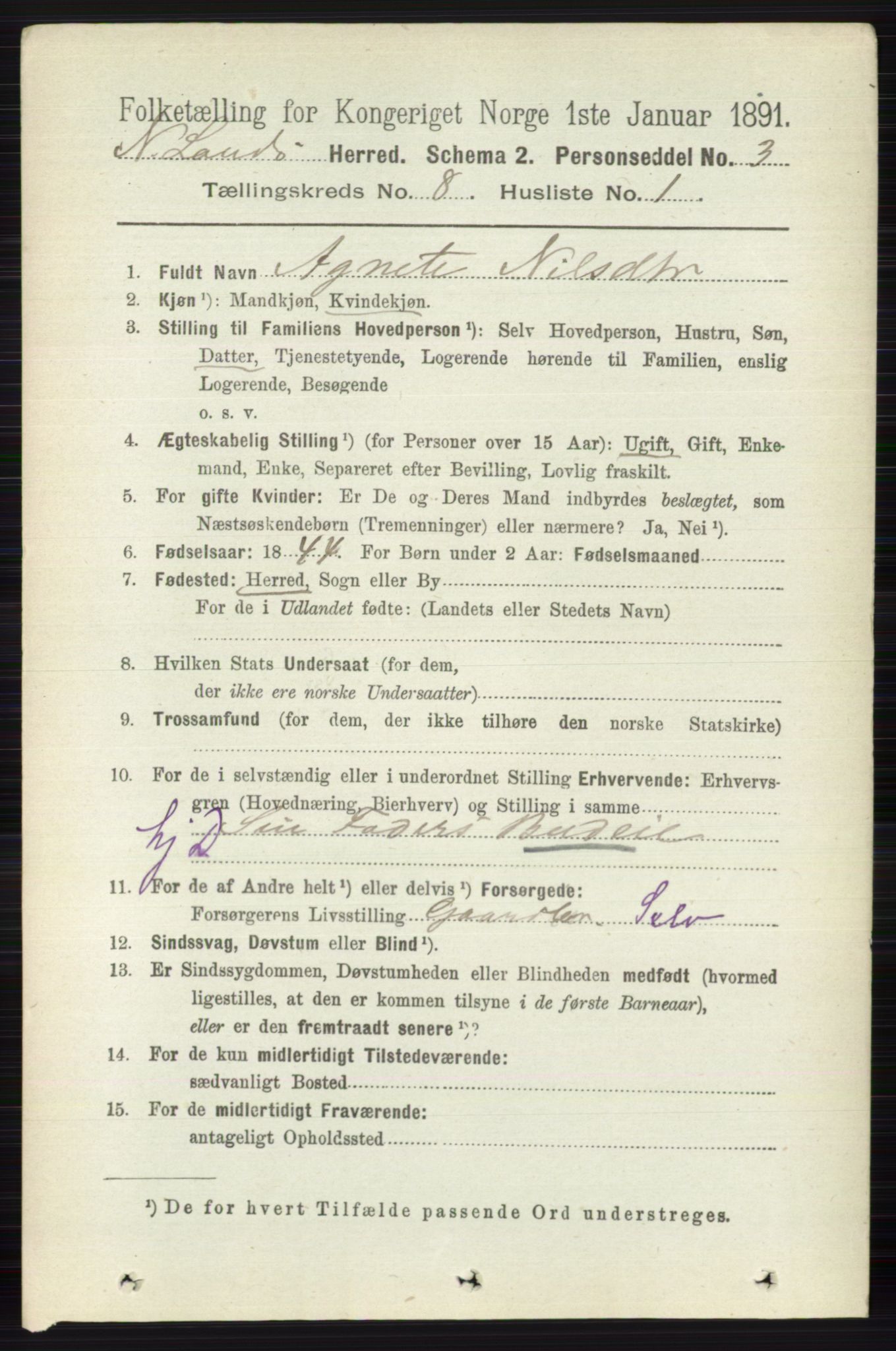 RA, 1891 census for 0538 Nordre Land, 1891, p. 2210